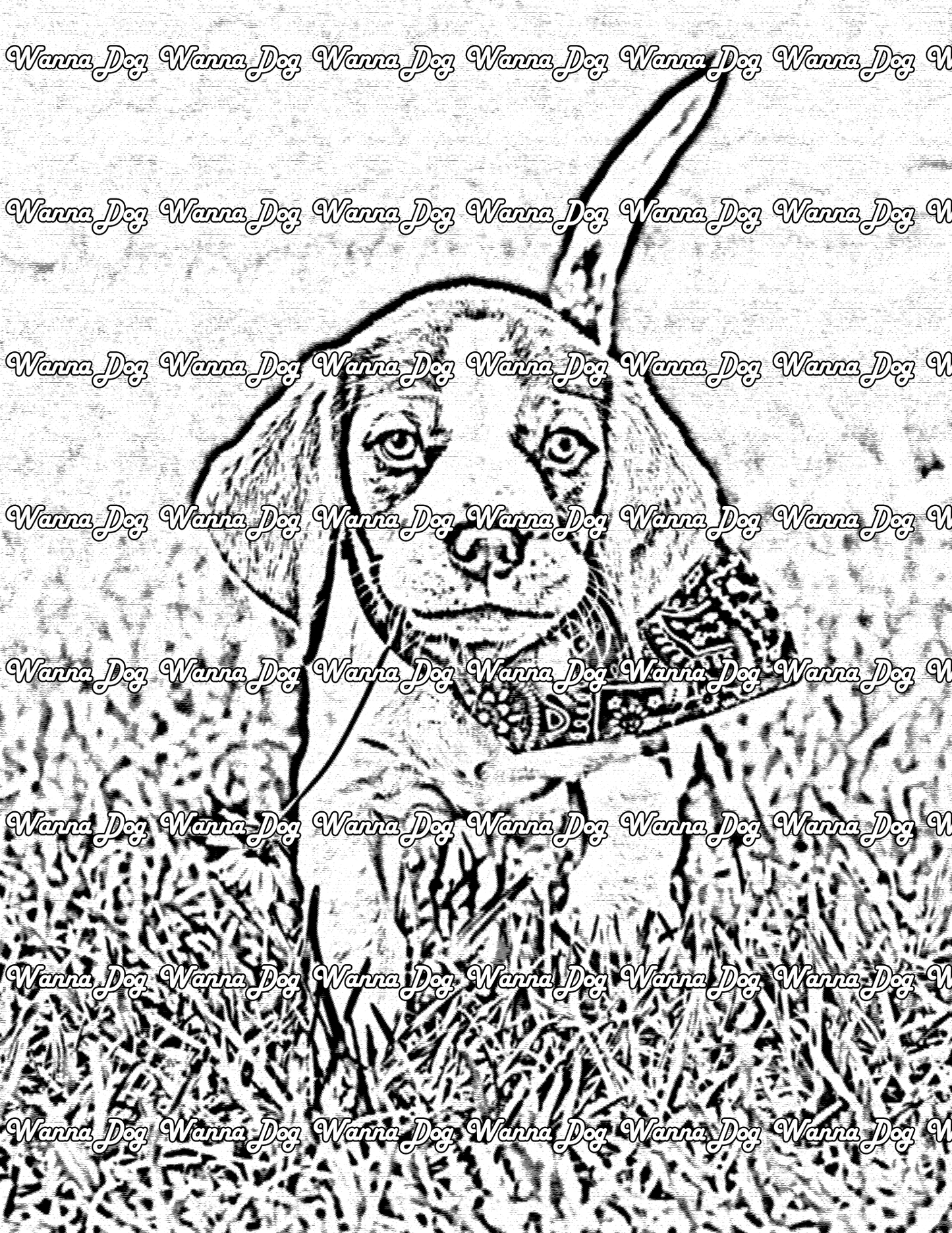 Beagle Puppy Coloring Page of a Beagle Puppy wearing a bandana and running in the grass