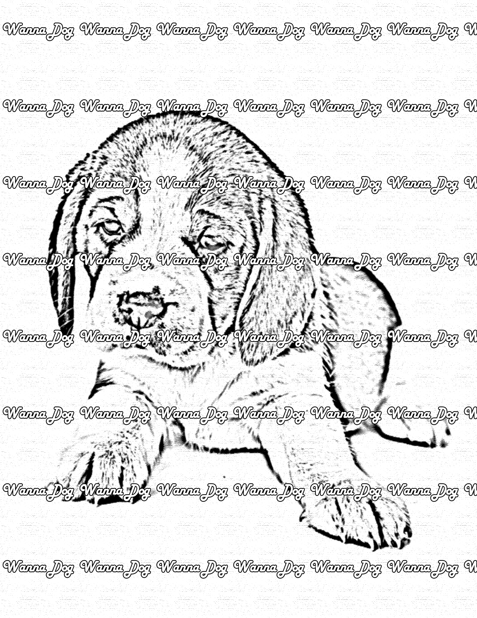 Beagle Puppy Coloring Page of a Beagle Puppy laying down