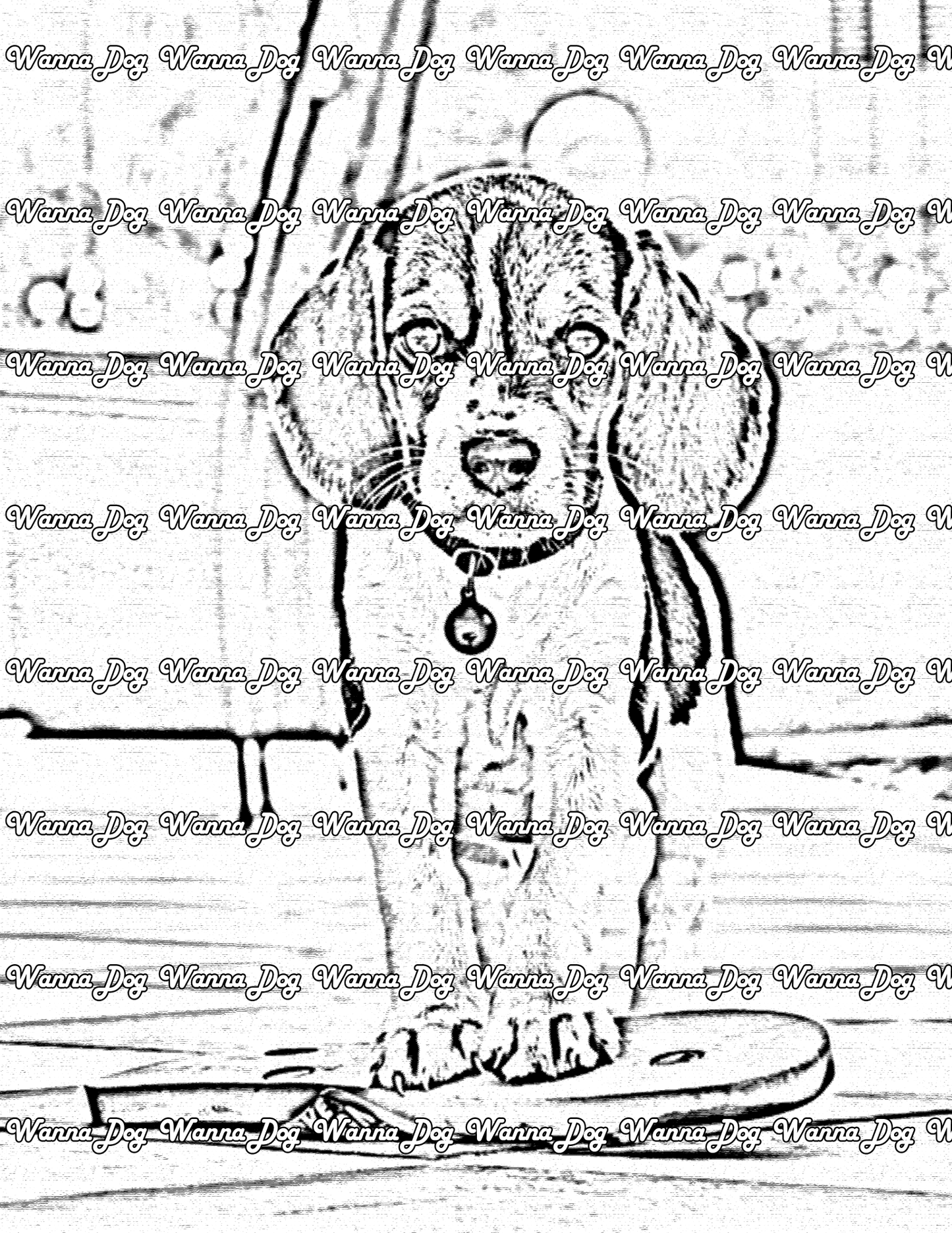 Beagle Puppy Coloring Page of a Beagle Puppy standing on a sandal
