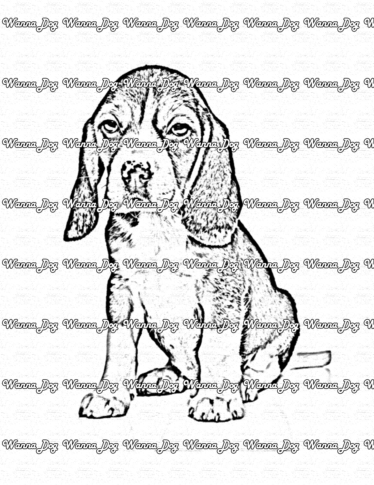 Beagle Puppy Coloring Page of a Beagle Puppy posing for the camera