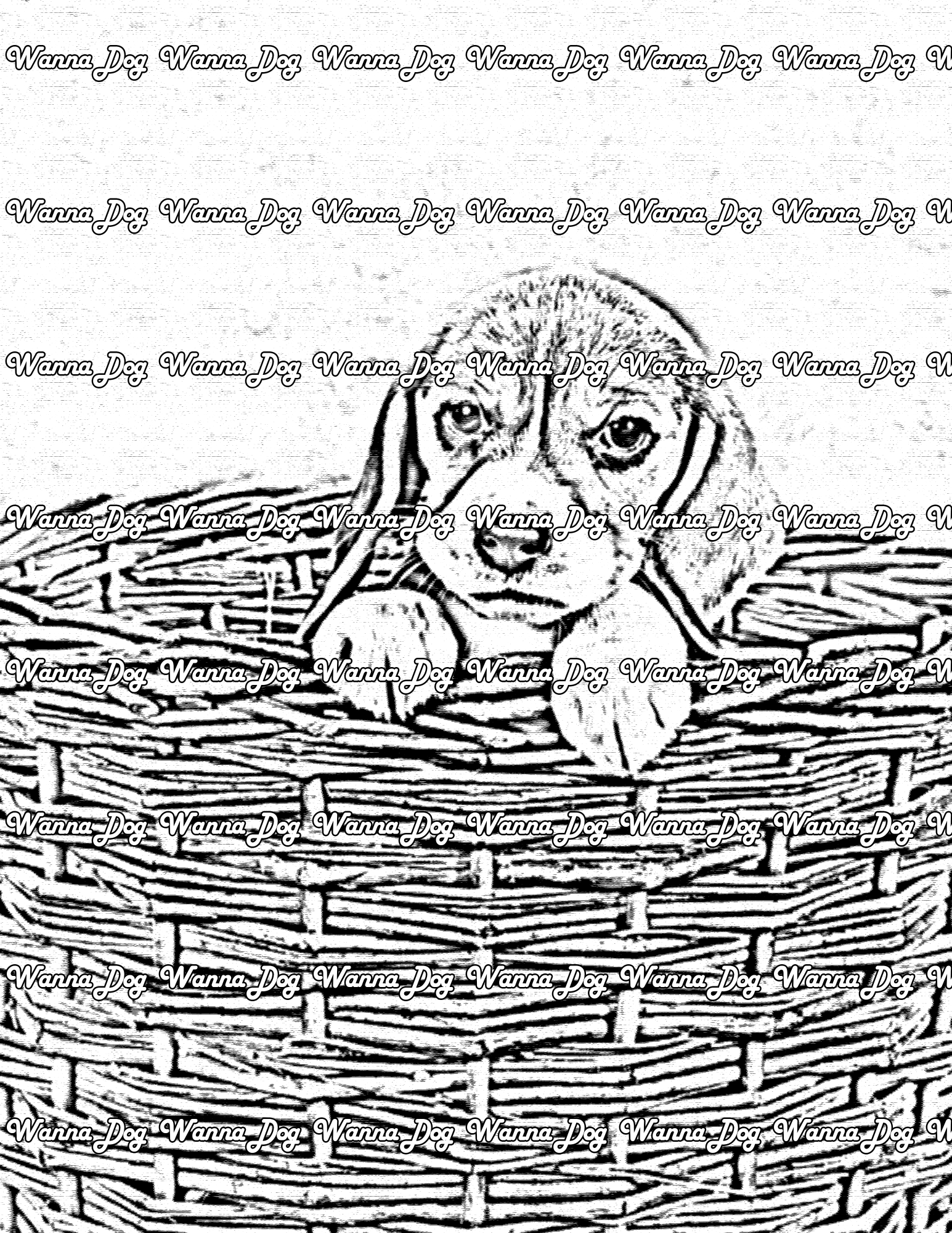 Beagle Puppy Coloring Page of a Beagle Puppy in a basket