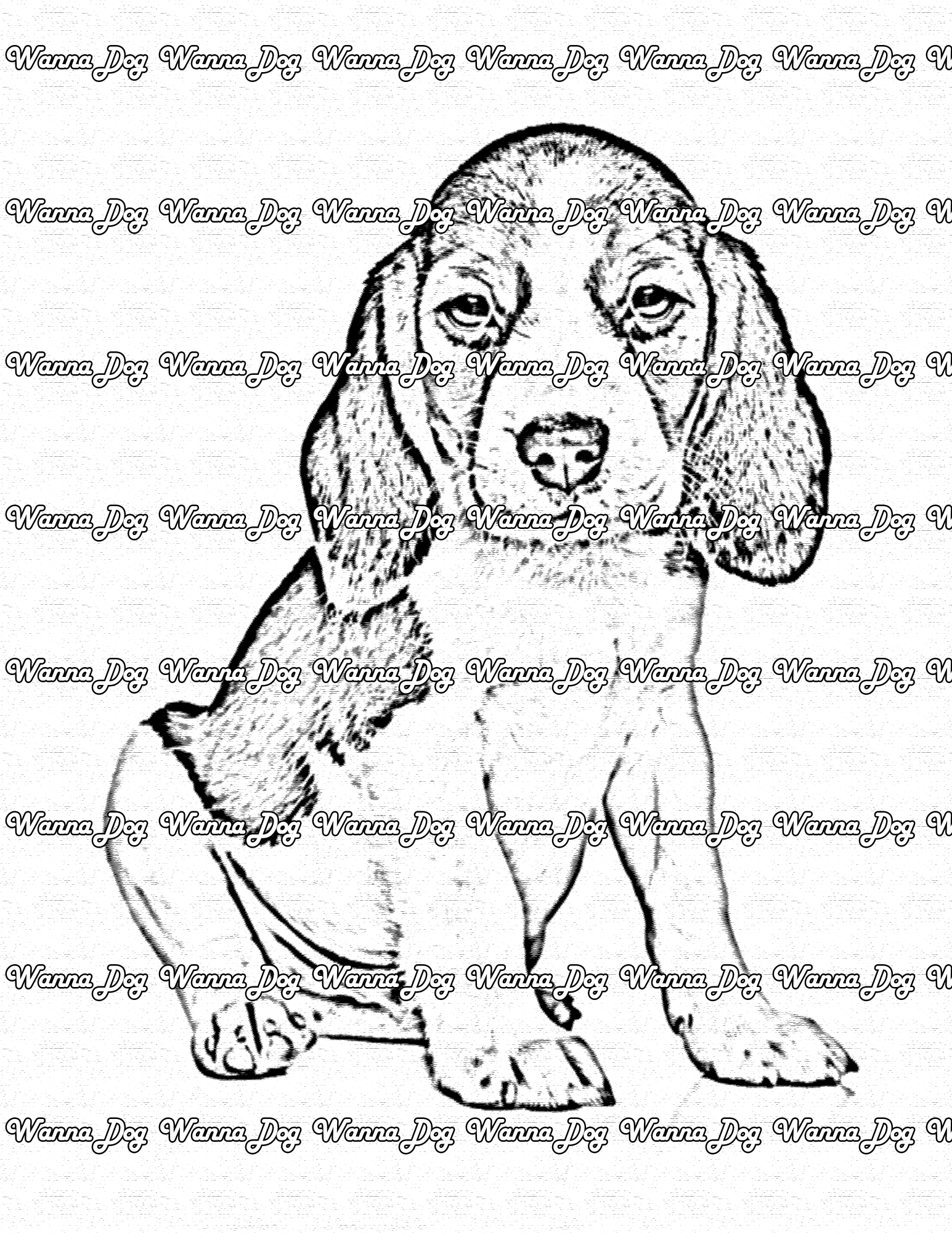 Beagle Puppy Coloring Page of a Beagle Puppy posing