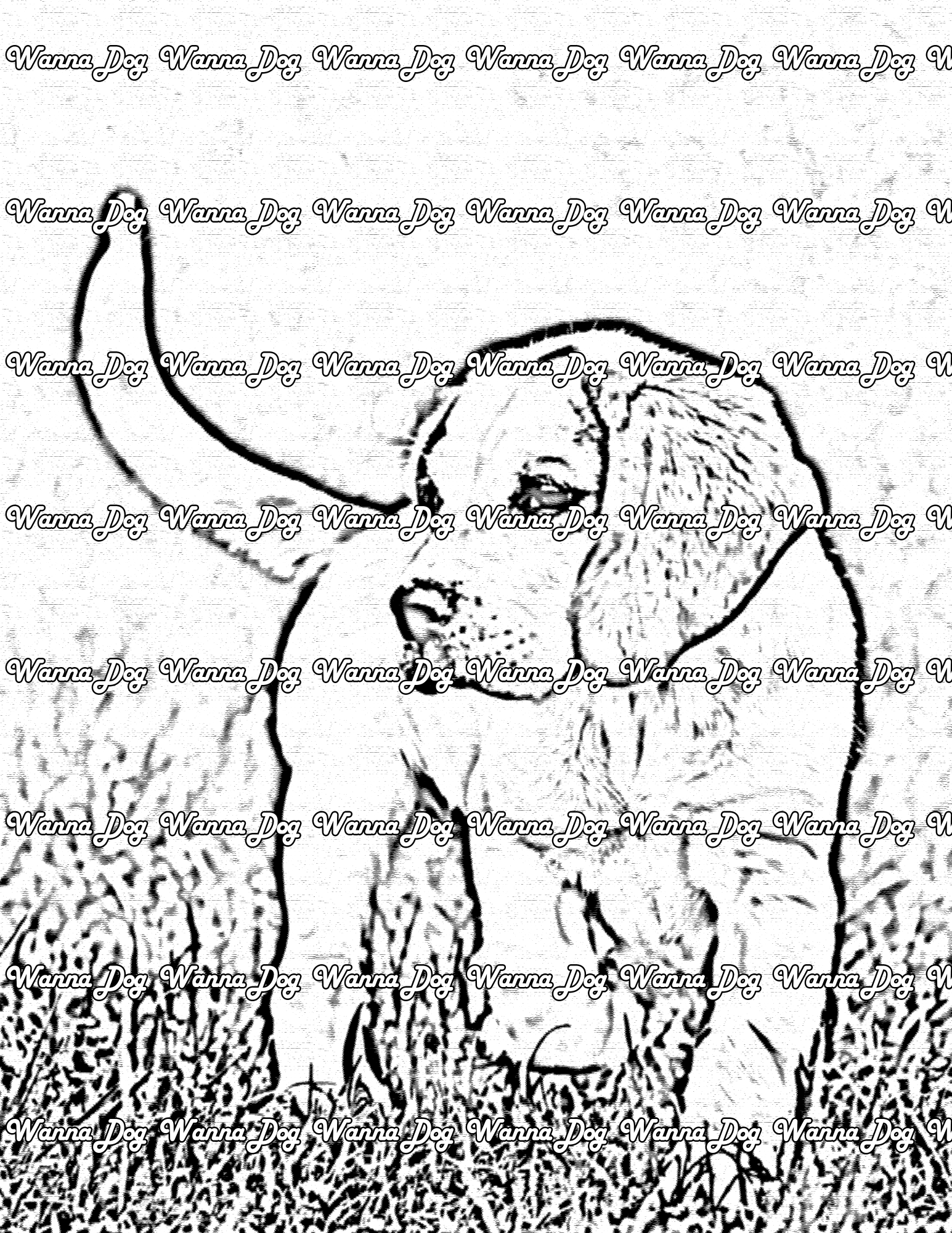 Beagle Puppy Coloring Page of a Beagle Puppy playing in the grass