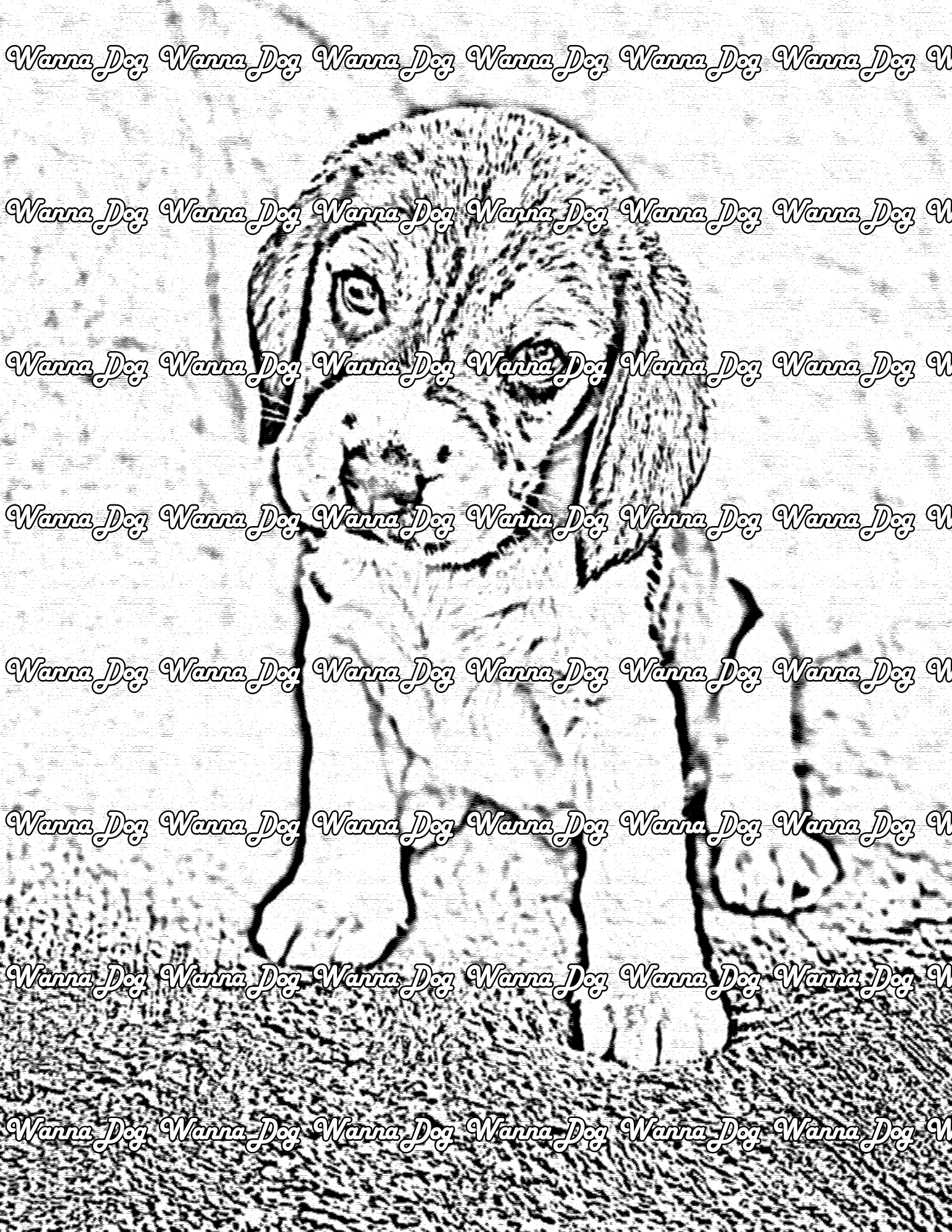 Beagle Puppy Coloring Page of a Beagle Puppy looking up at the camera