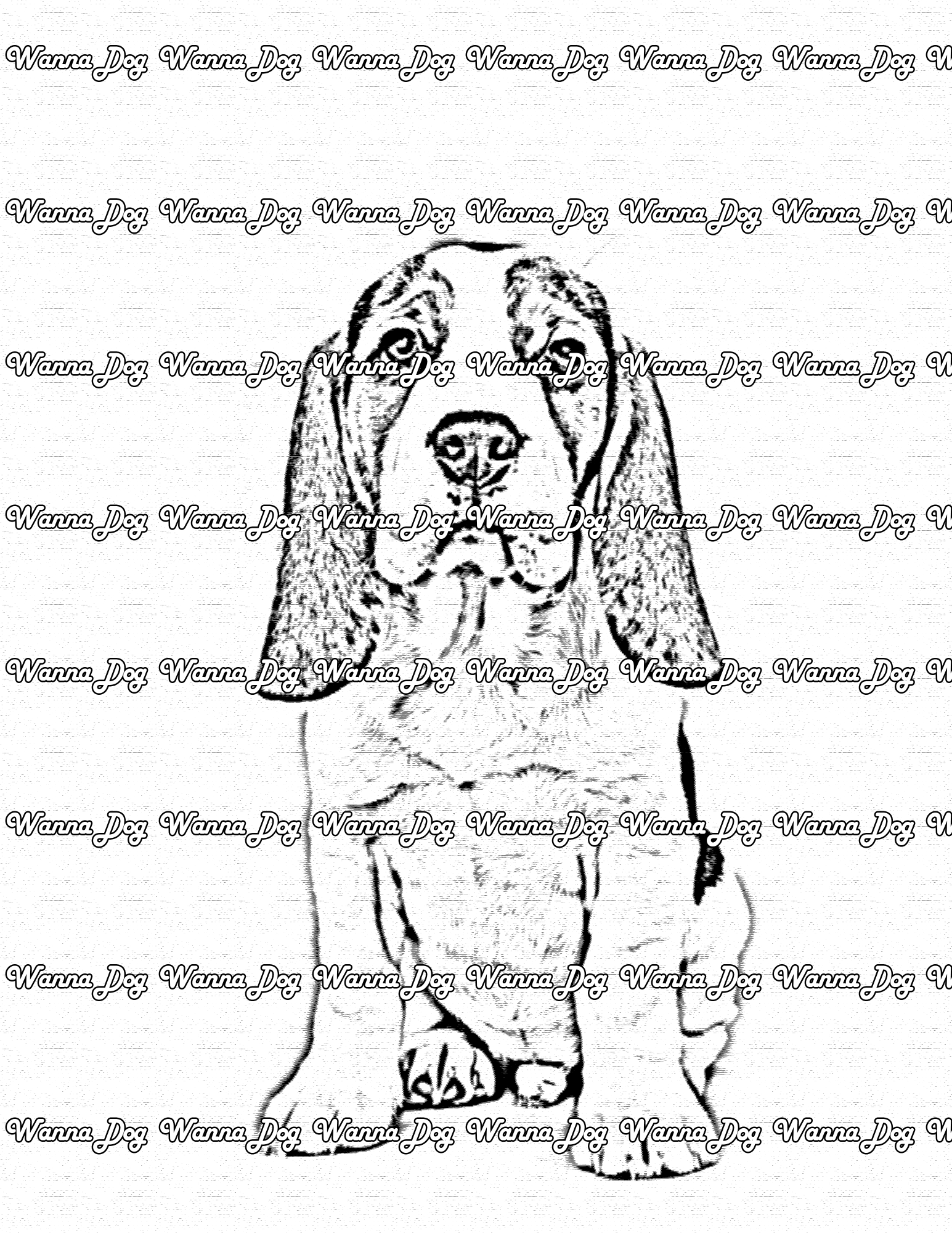 Beagle Puppy Coloring Page of a Beagle Puppy posing and looking up at the camera