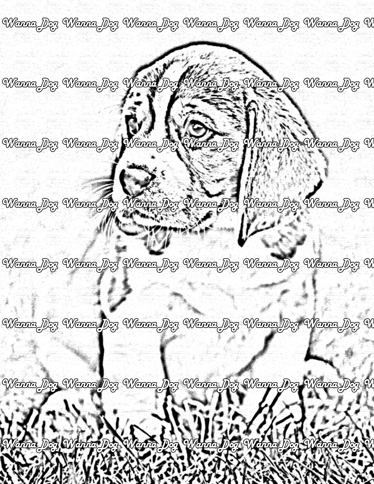 Beagle Puppy Coloring Page of a Beagle Puppy sitting in the grass