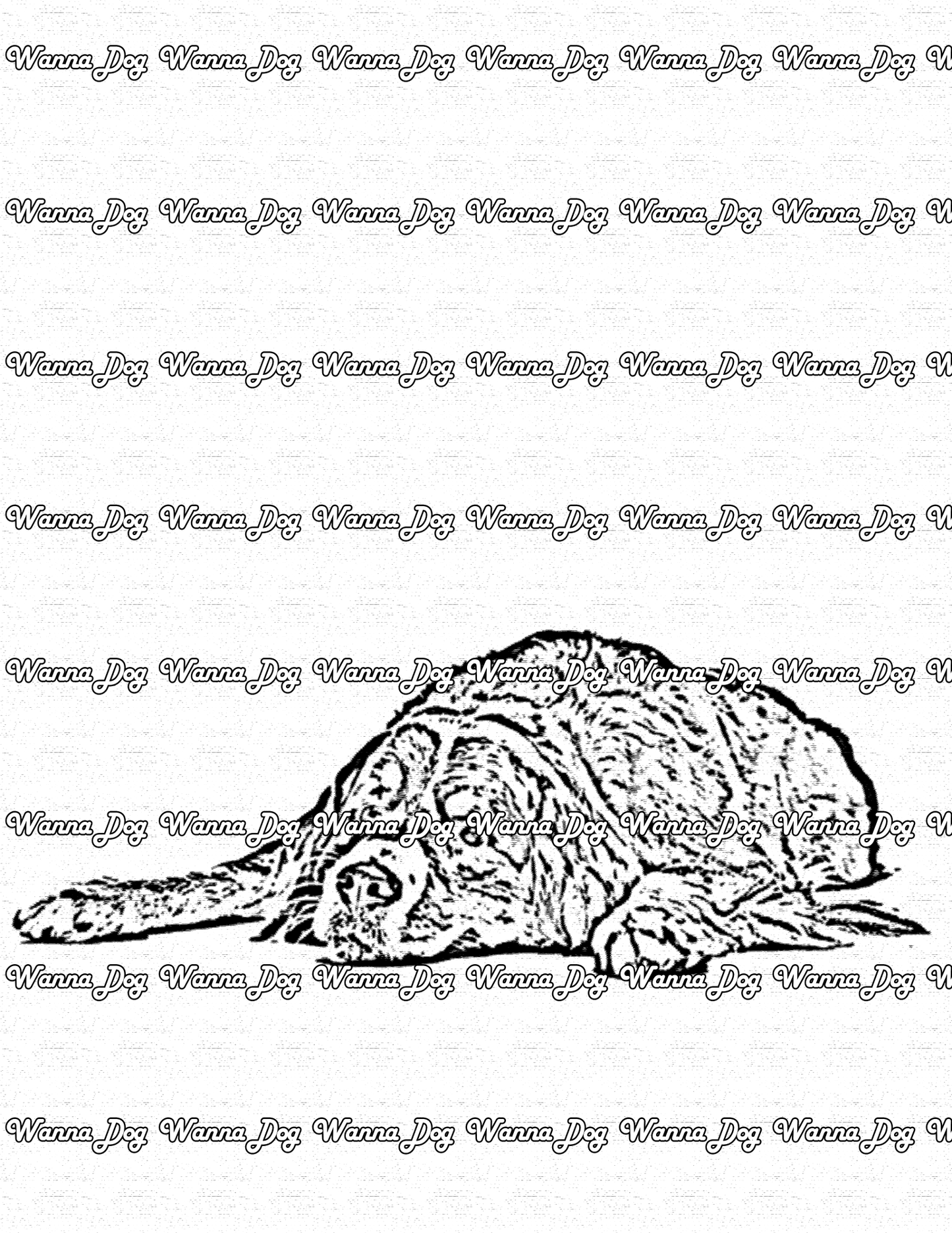Bernese Mountain Dog Coloring Page of a Bernese Mountain Dog laying down and taking a nap