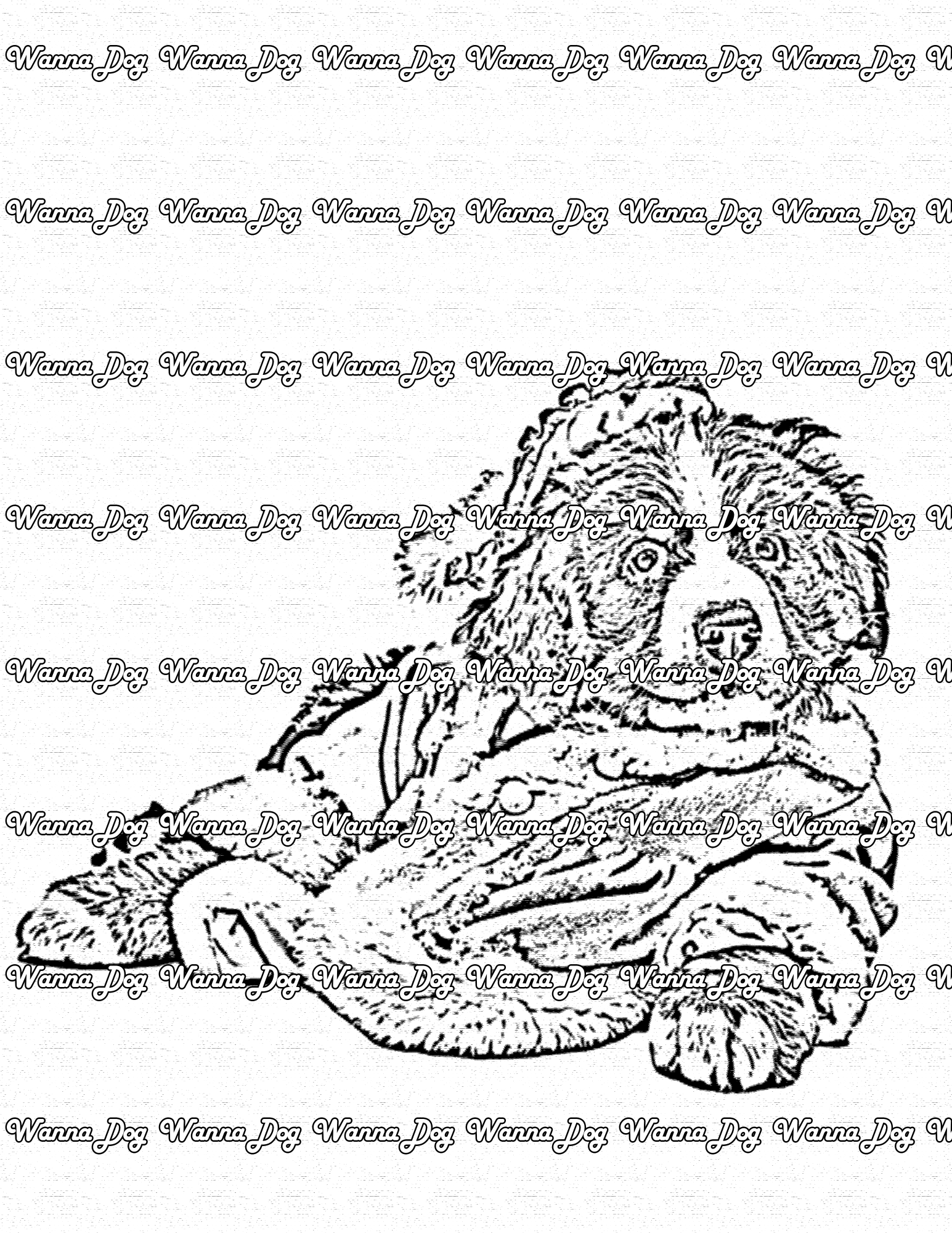 Bernese Mountain Dog Coloring Page of a Bernese Mountain Dog wearing a robe