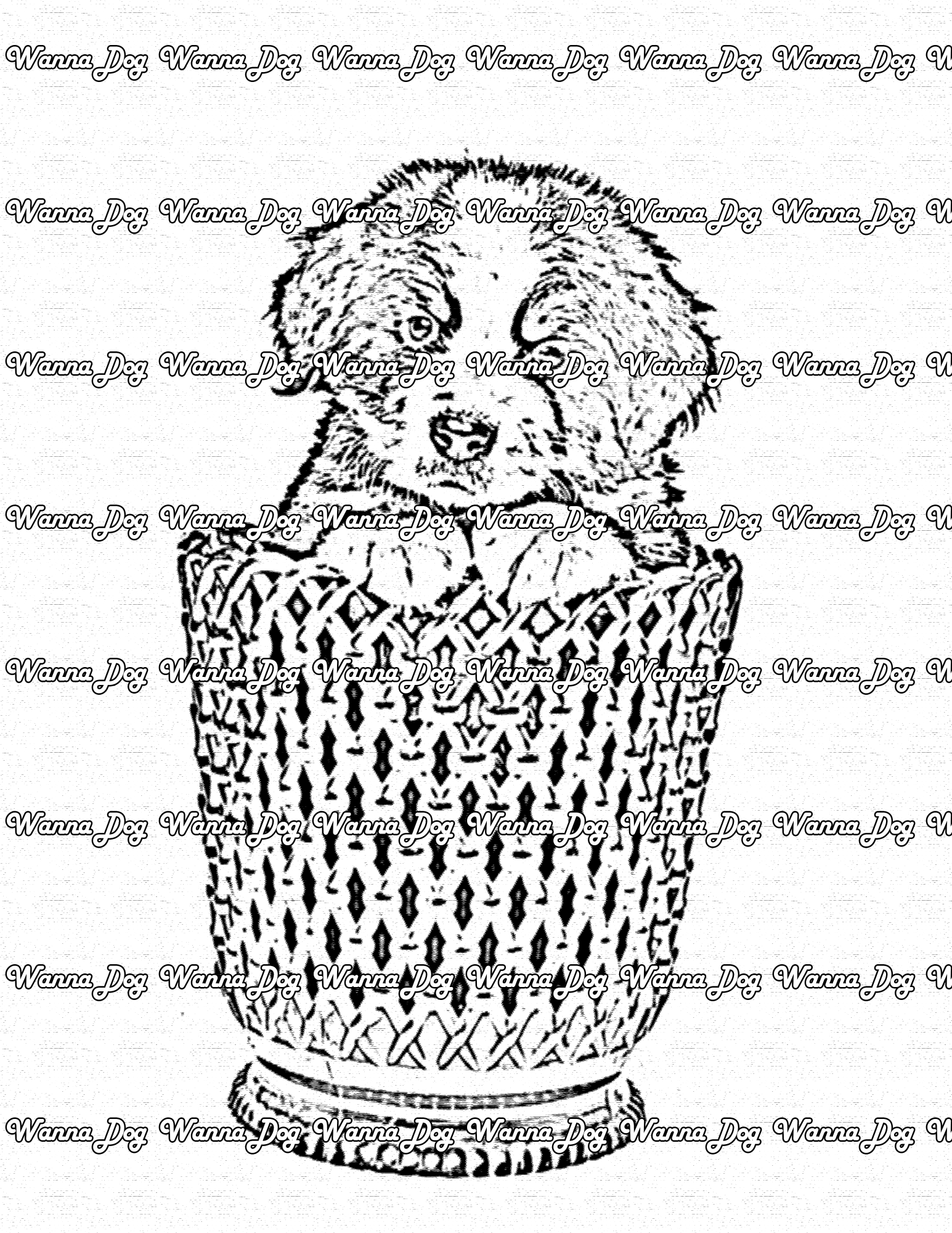 Bernese Mountain Dog Coloring Page of a Bernese Mountain Dog puppy in a vase