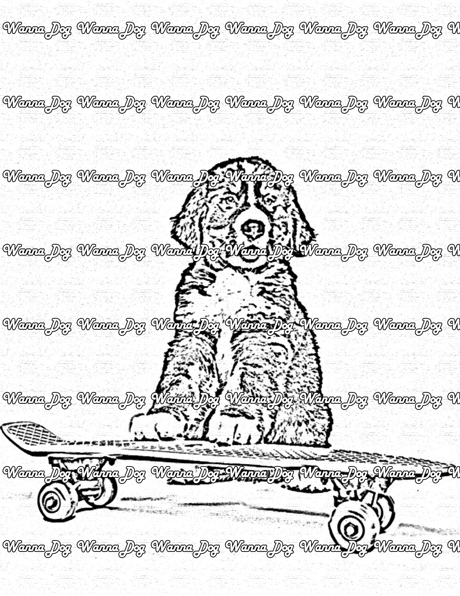 Bernese Mountain Dog Coloring Page of a Bernese Mountain Dog on a skateboard