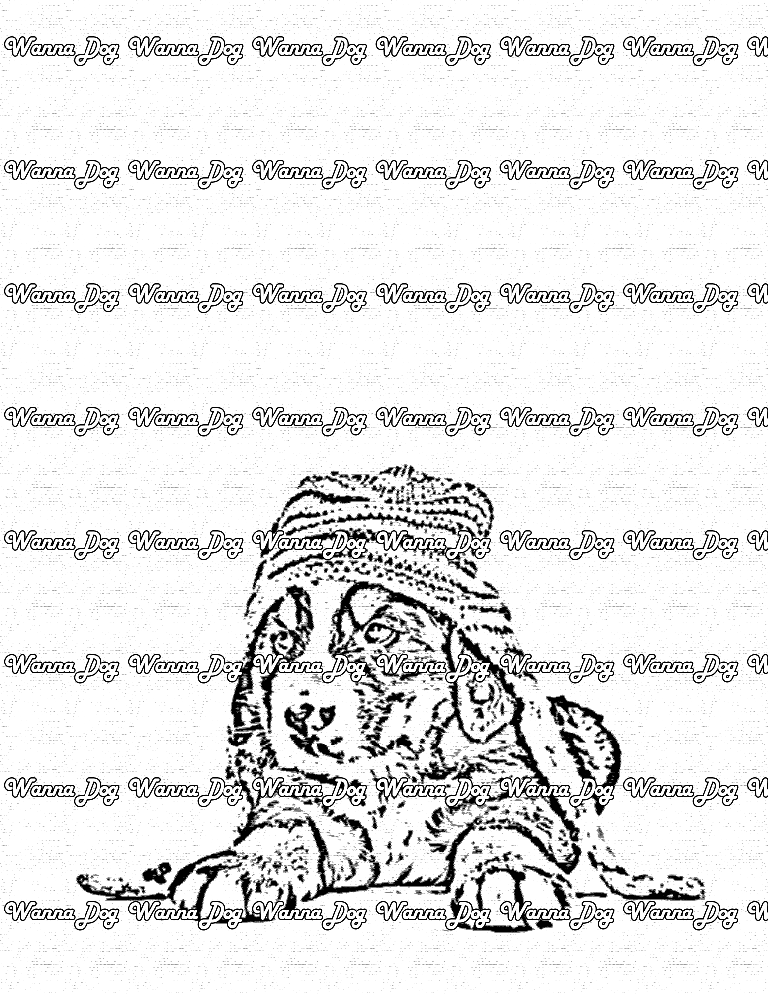 Bernese Mountain Dog Coloring Page of a Bernese Mountain Dog puppy wearing a winter hat