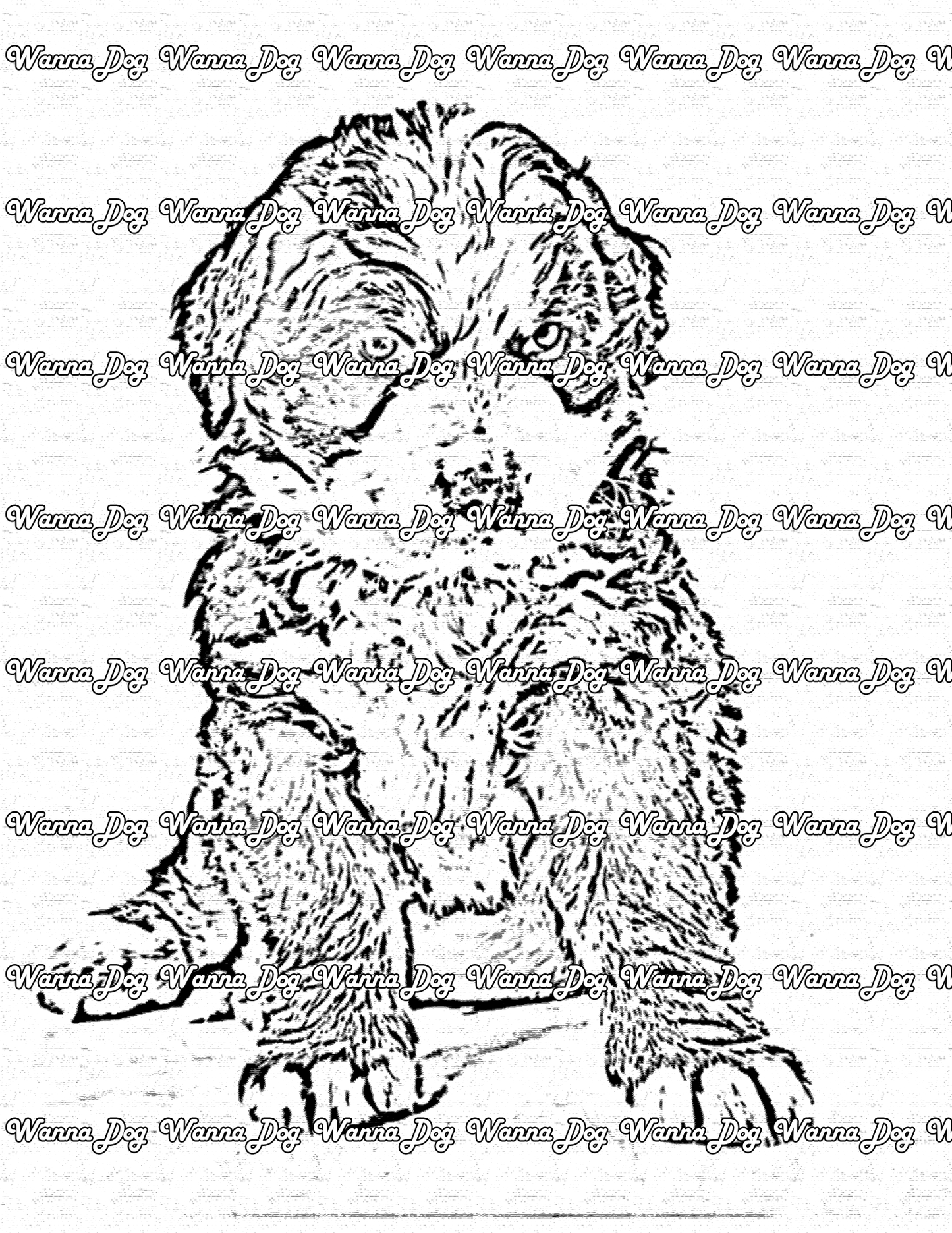 Bernese Mountain Dog Coloring Page of a Bernese Mountain Dog puppy sitting and posing