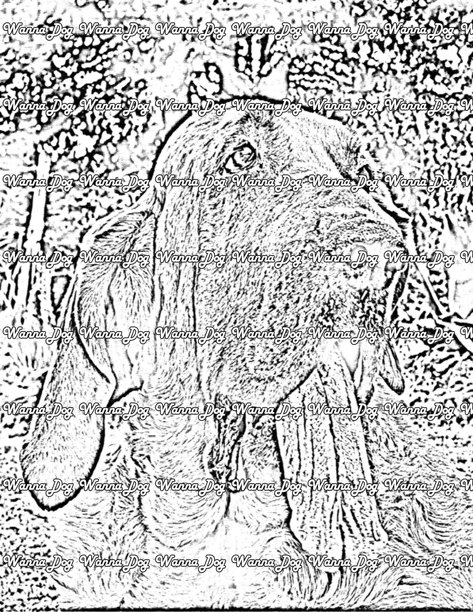 Bloodhound Coloring Page of a Bloodhound with their tongue out