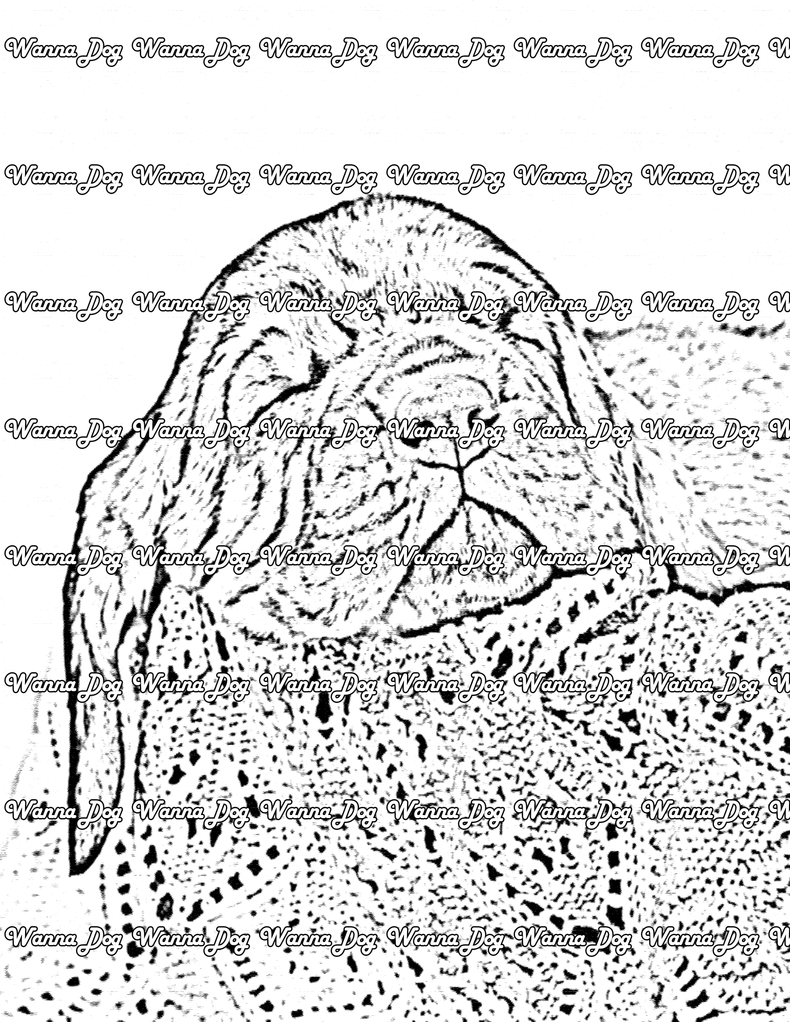 Bloodhound Coloring Page of a Bloodhound sleeping
