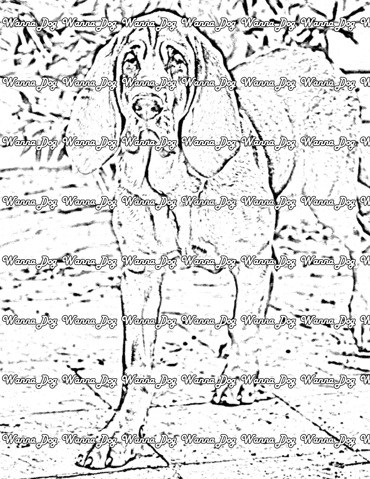 Bloodhound Coloring Page of a Bloodhound walking outside
