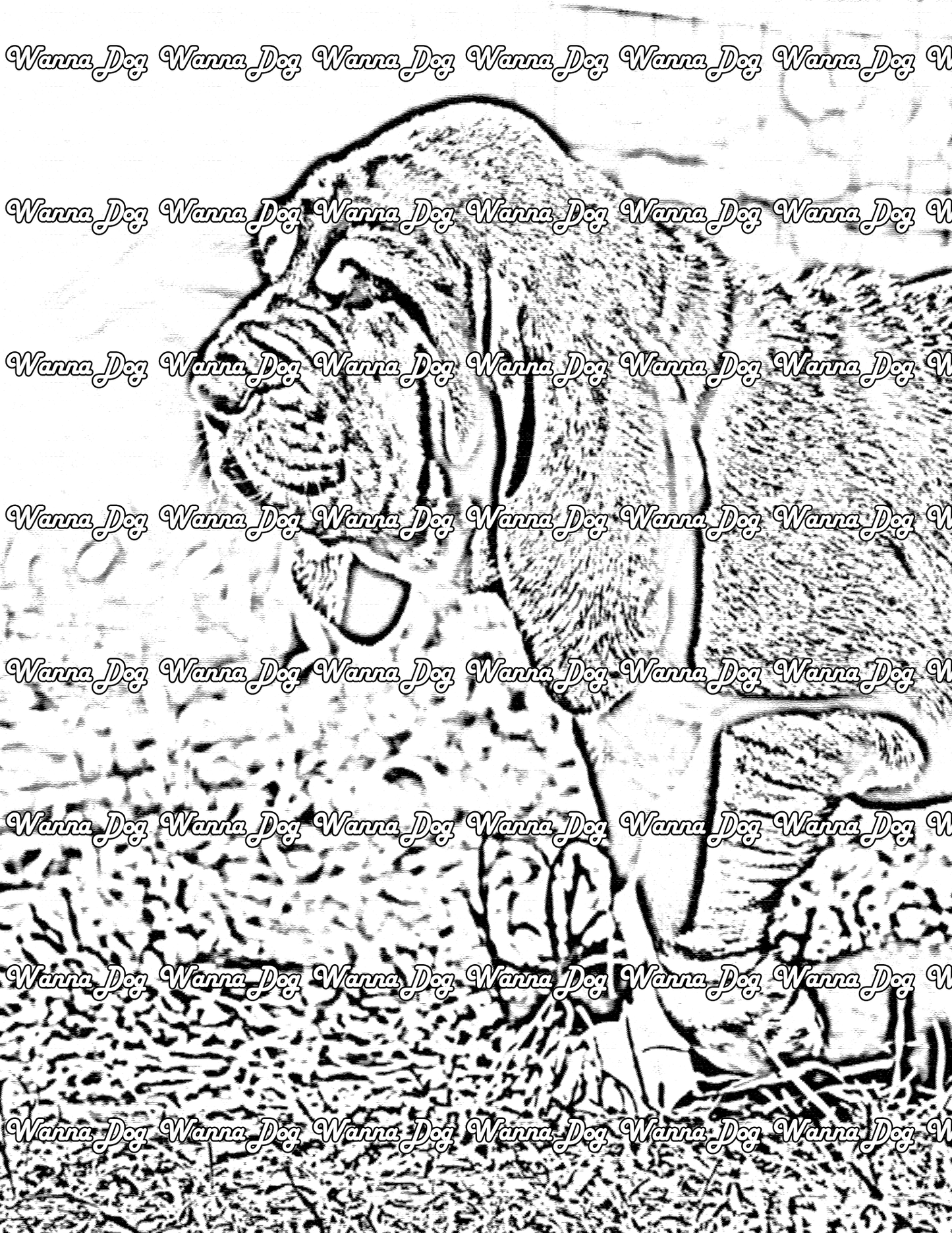 Bloodhound Coloring Page of a Bloodhound walking on the grass