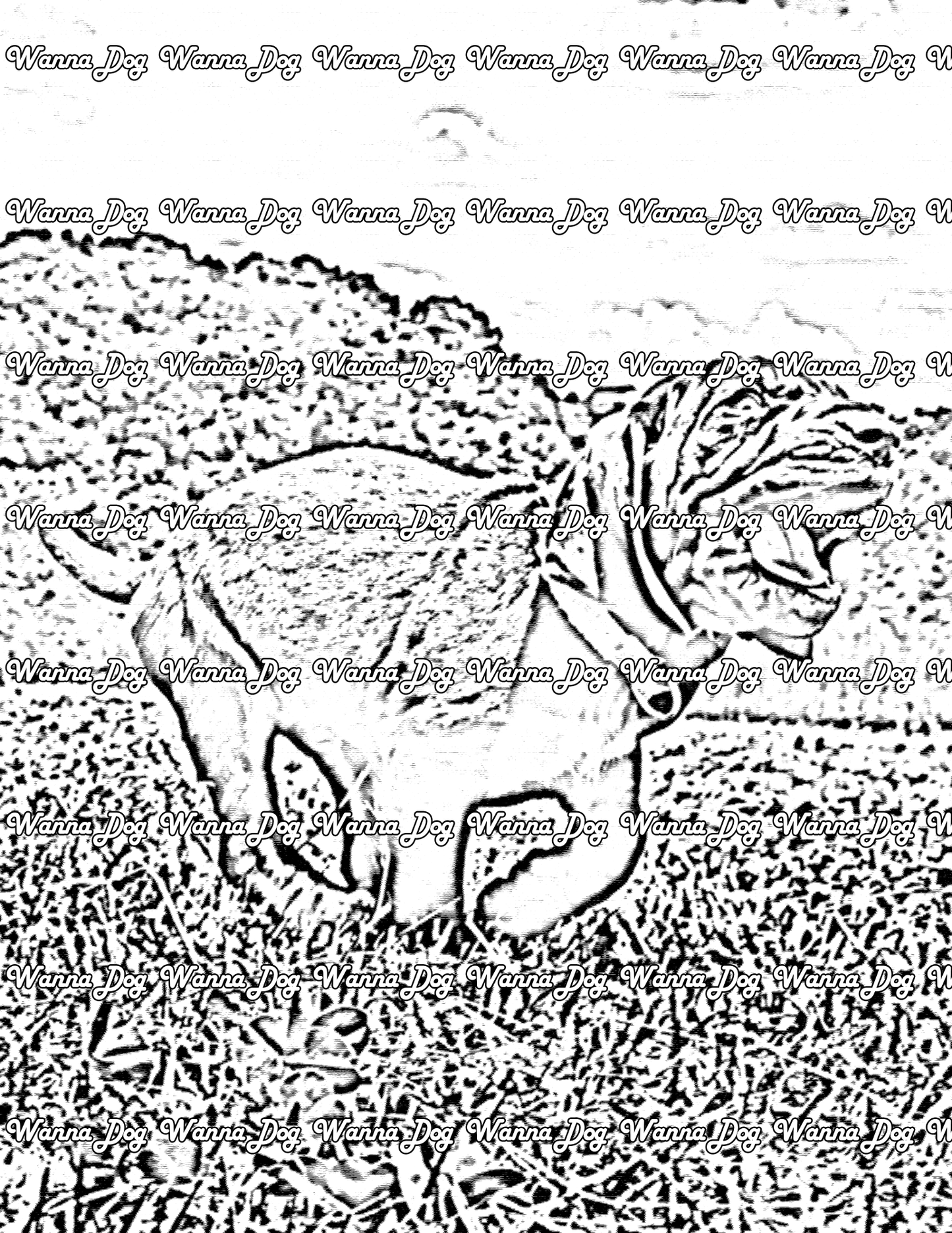 Bloodhound Coloring Page of a Bloodhound running in grass