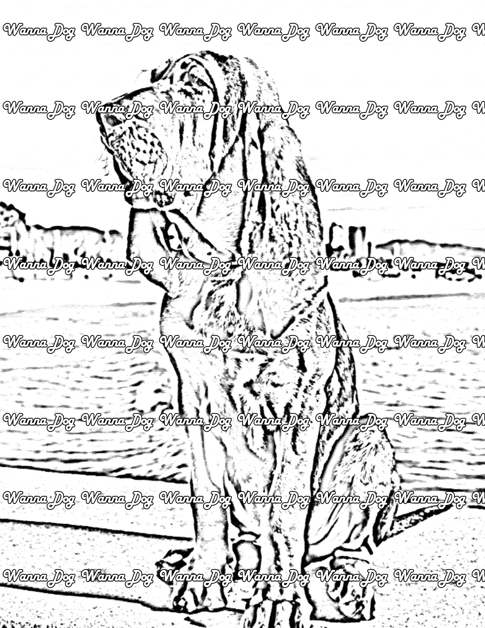 Bloodhound Coloring Page of a Bloodhound next to the water