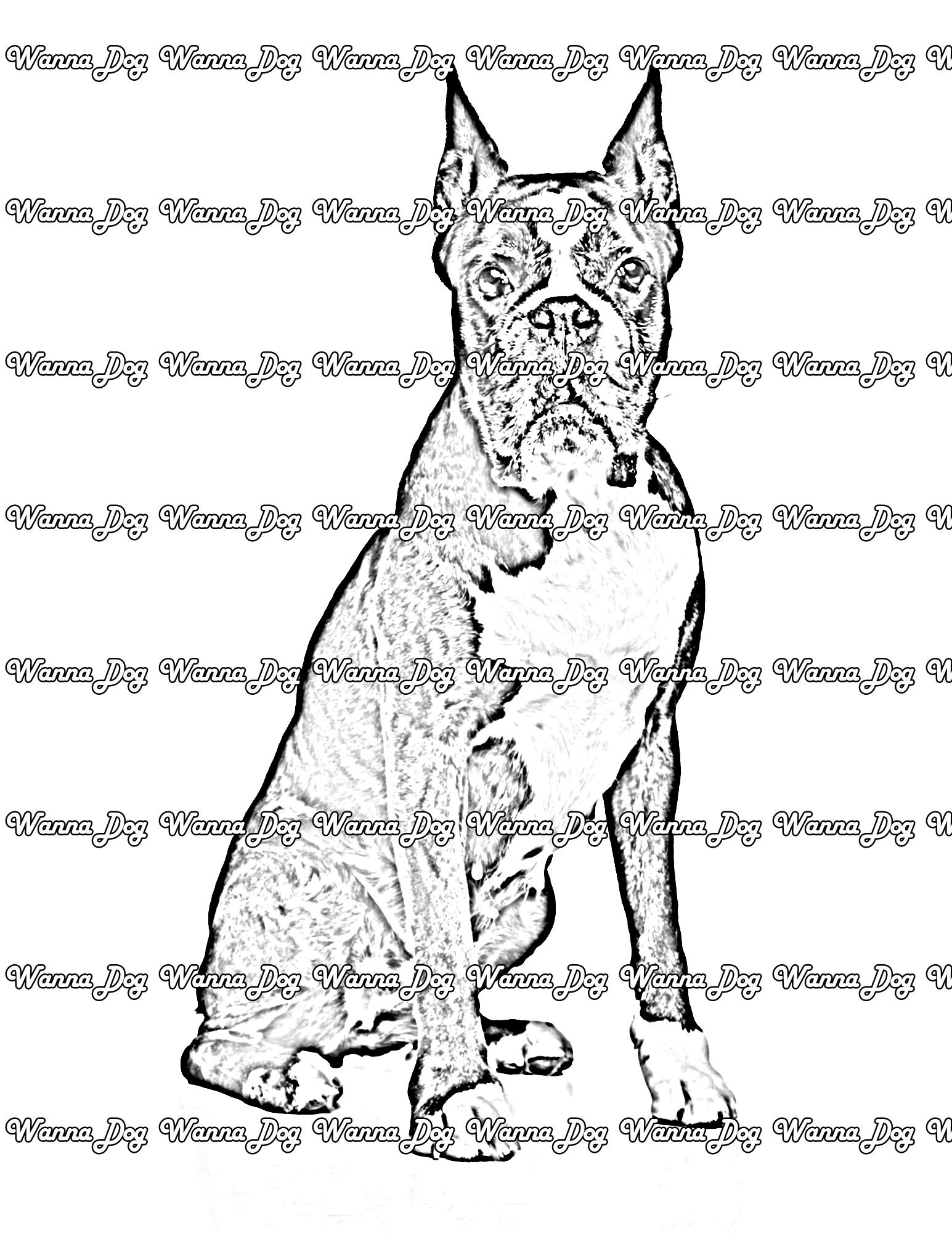 Boxer Coloring Pages of a Boxer posing