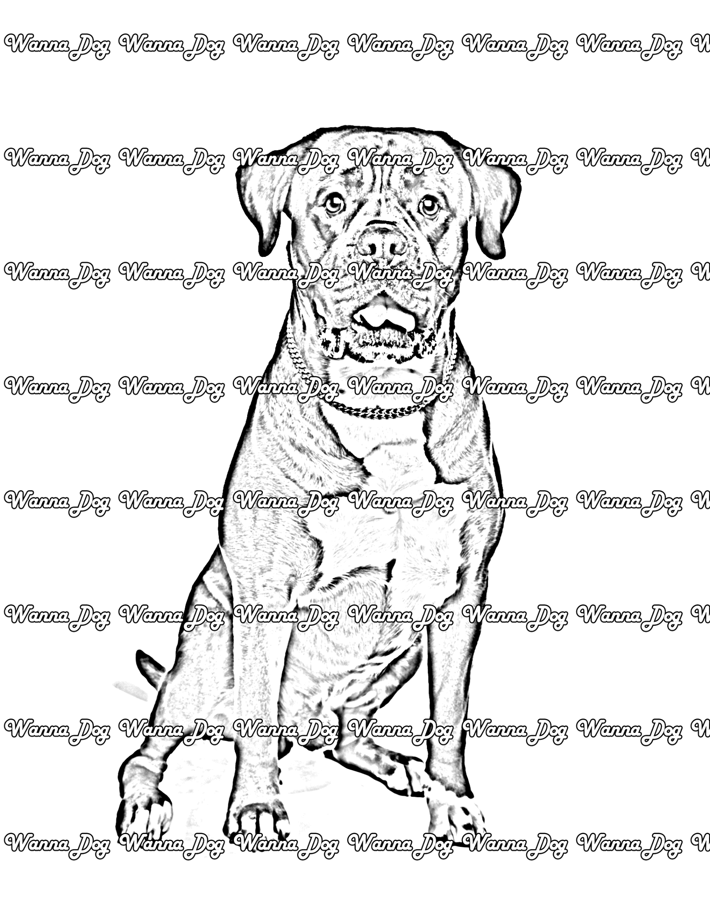 Boxer Coloring Pages of a Boxer looking up at the camera