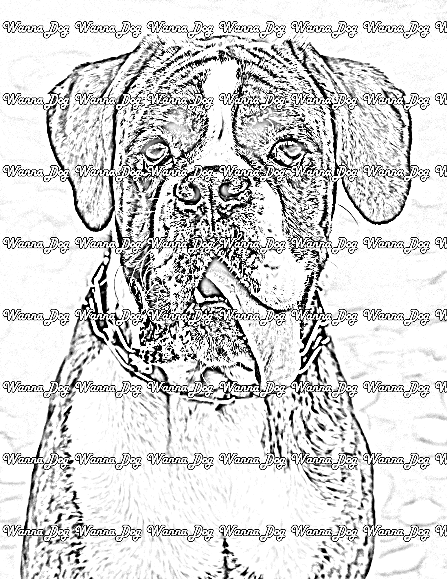 Boxer Coloring Pages of a Boxer with their tongue out