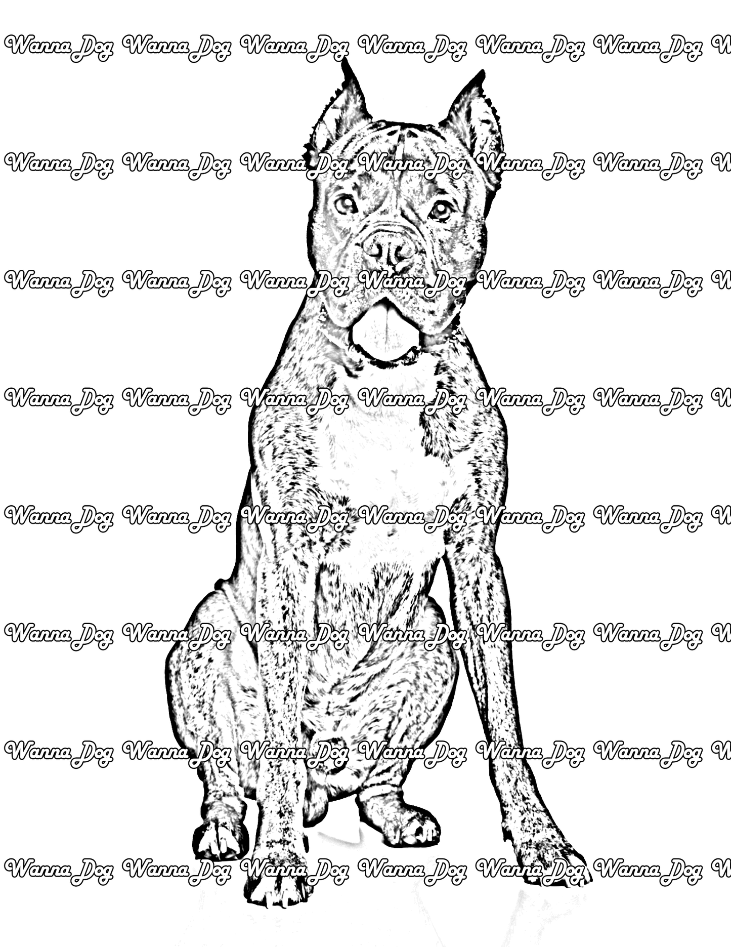 Boxer Coloring Pages of a Boxer posing with their tongue out