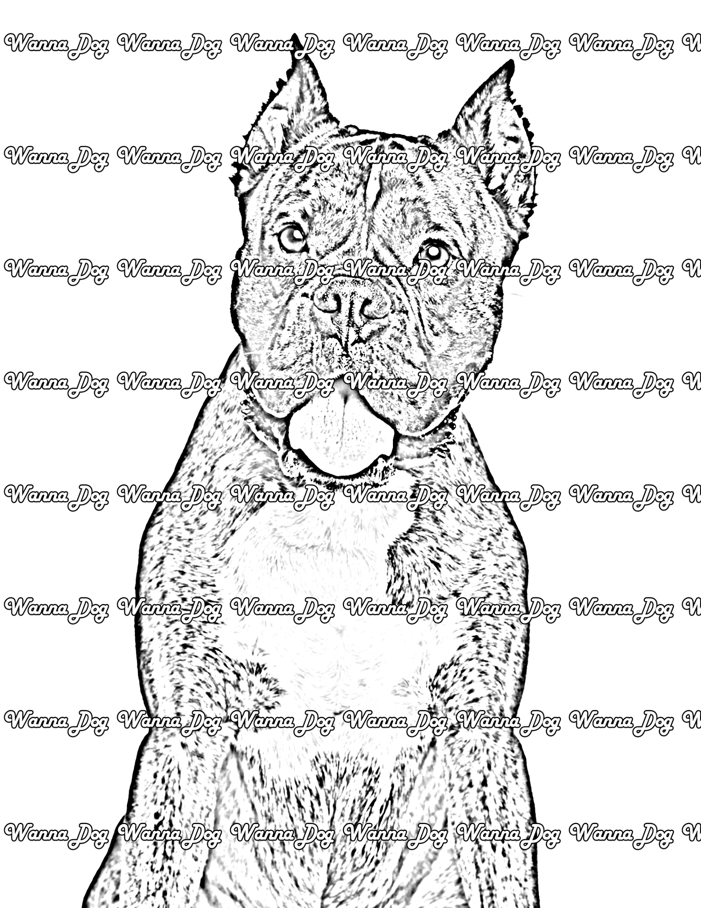 Boxer Coloring Pages of a Boxer close up