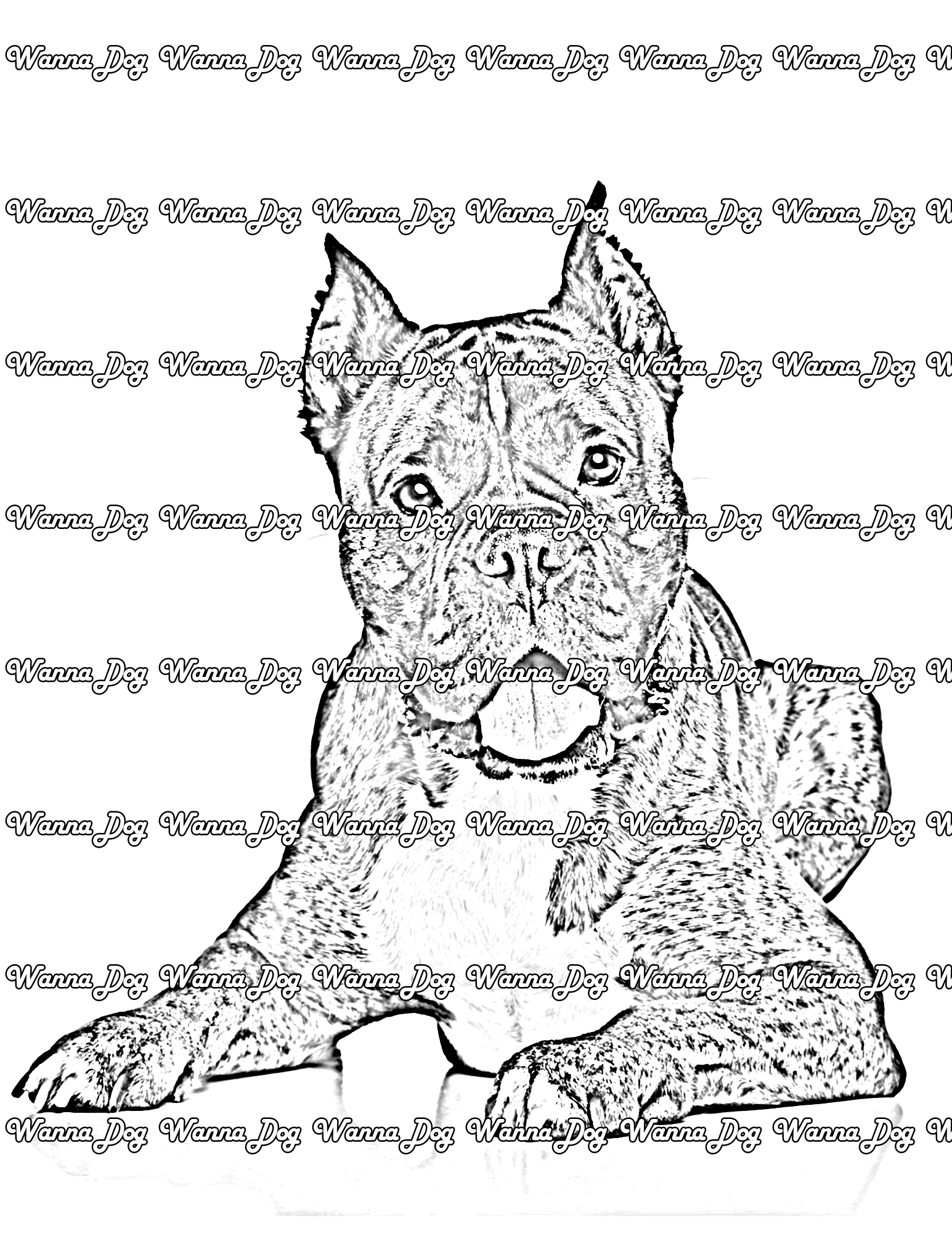 Boxer Coloring Pages of a Boxer laying down
