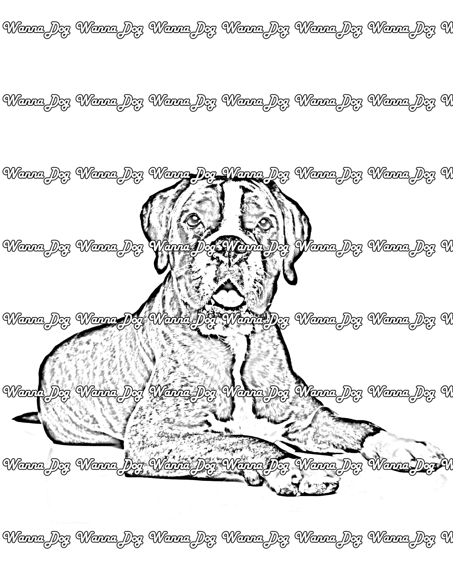 Boxer Coloring Pages of a Boxer sitting with their tongue out