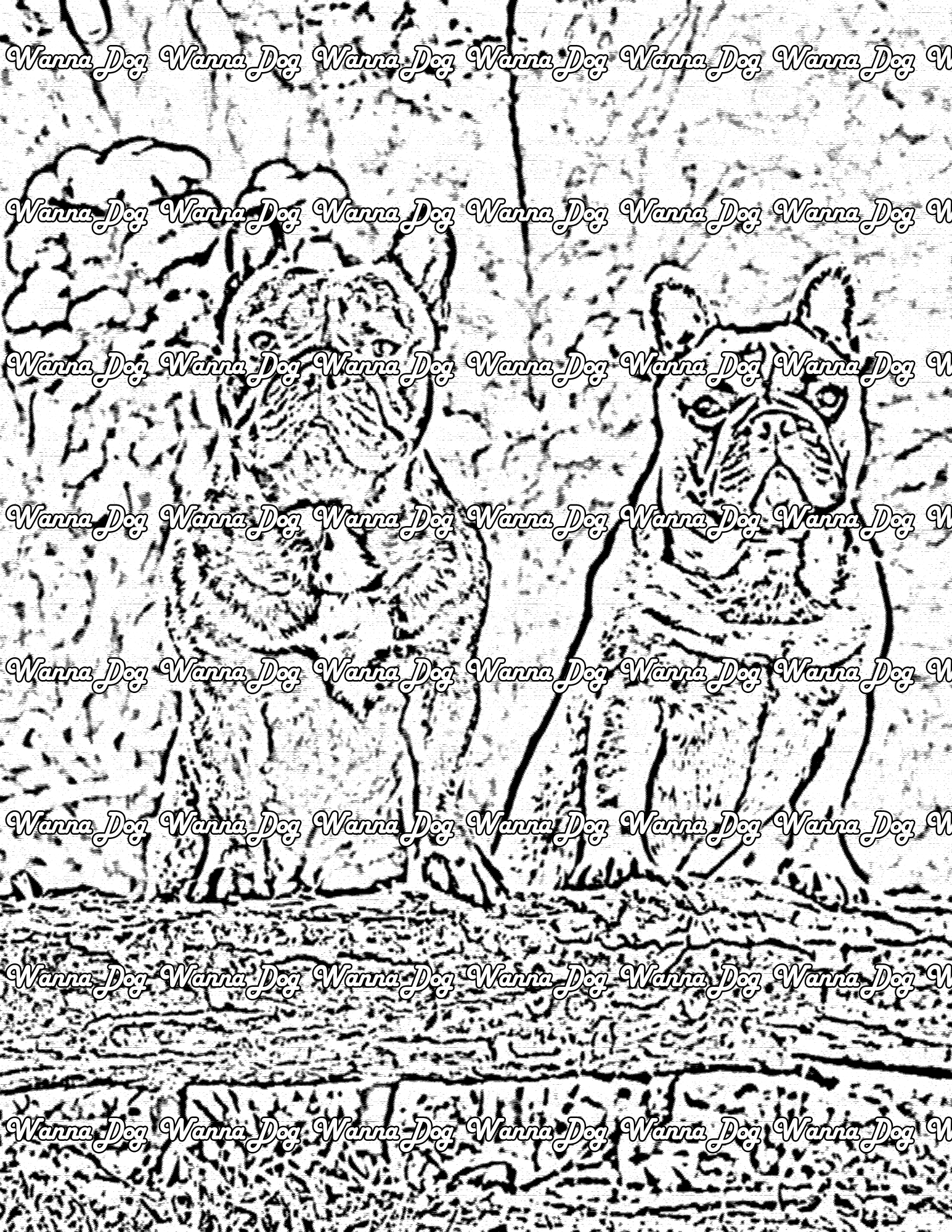 Bulldog Coloring Pages of a two bulldogs