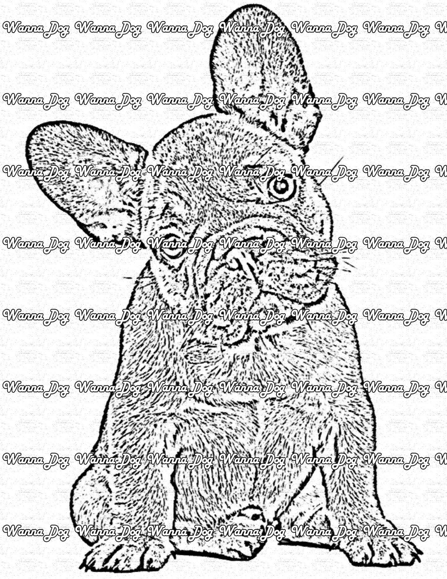 Bulldog Coloring Page of a bulldog standing with their head titled