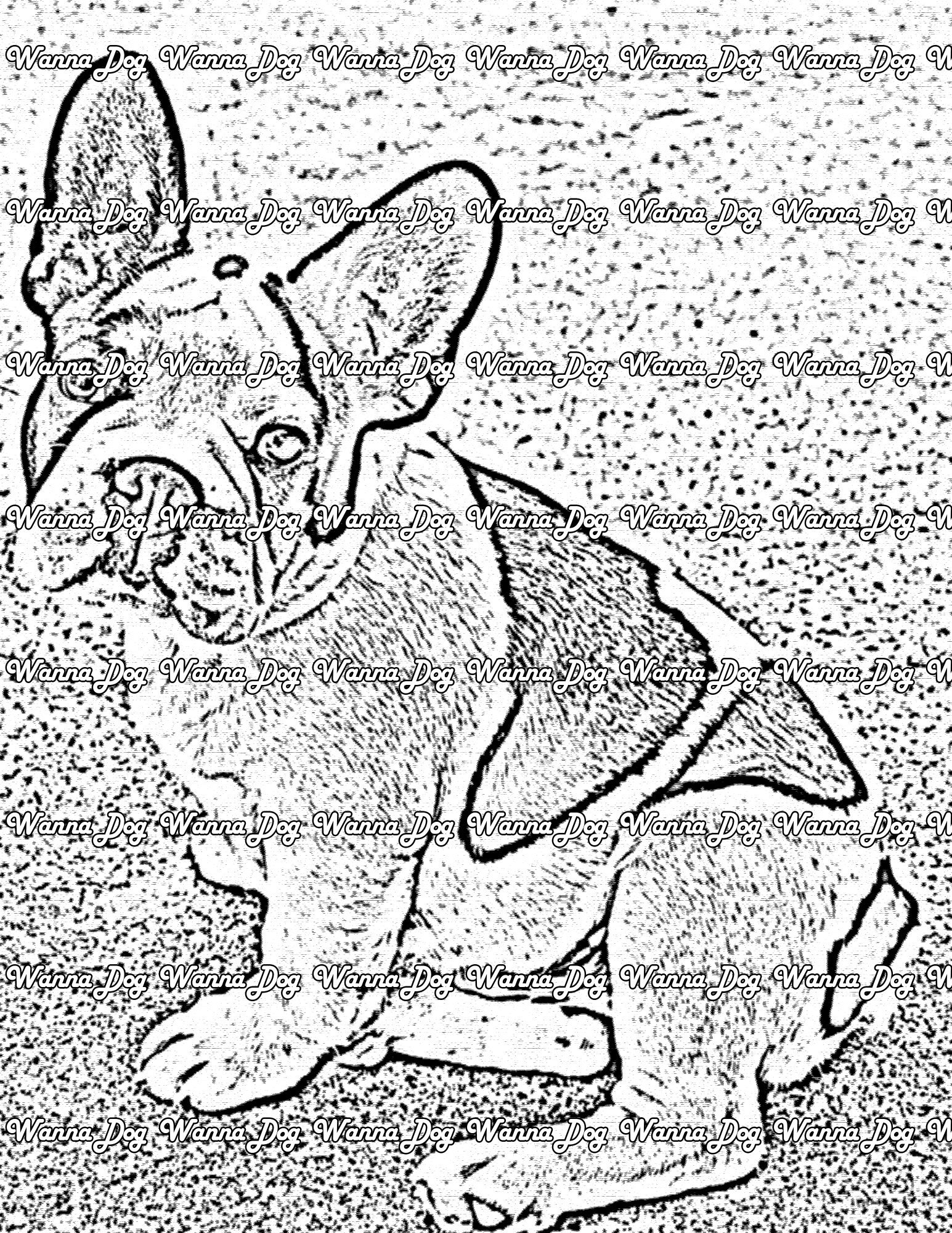 Bulldog Coloring Page of a posing bulldog
