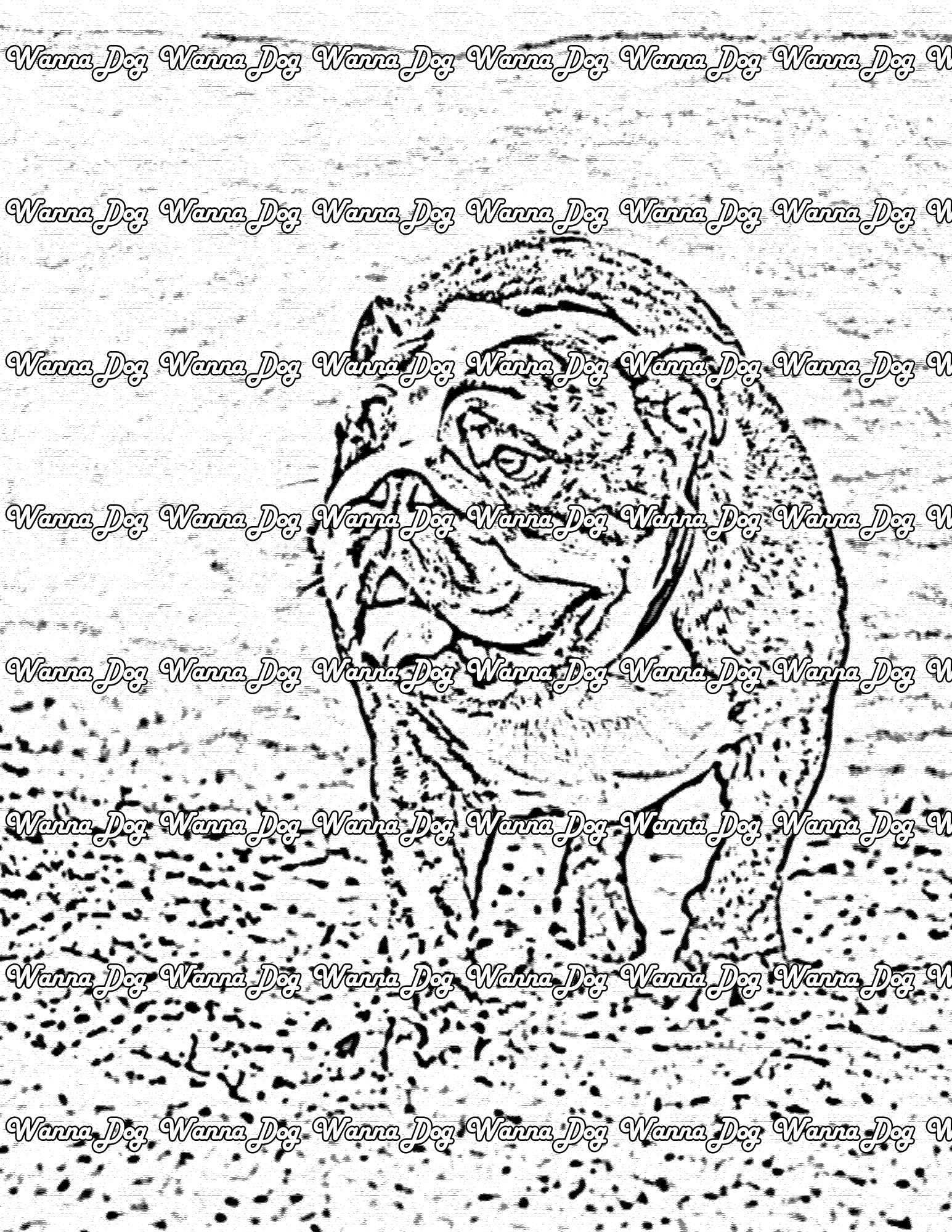 Bulldog Coloring Page of a bulldog walking around