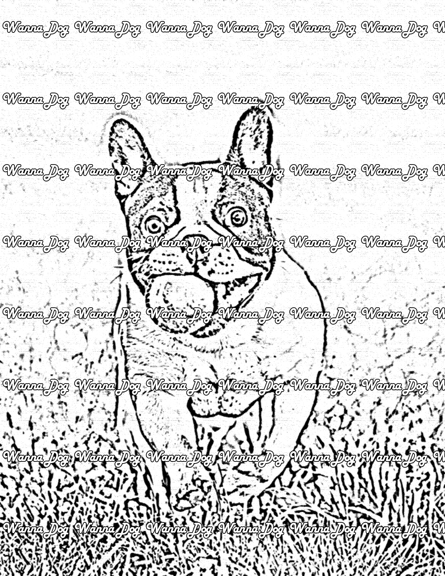 Bulldog Coloring Pages of a bulldog running with a tennis ball in their mouth