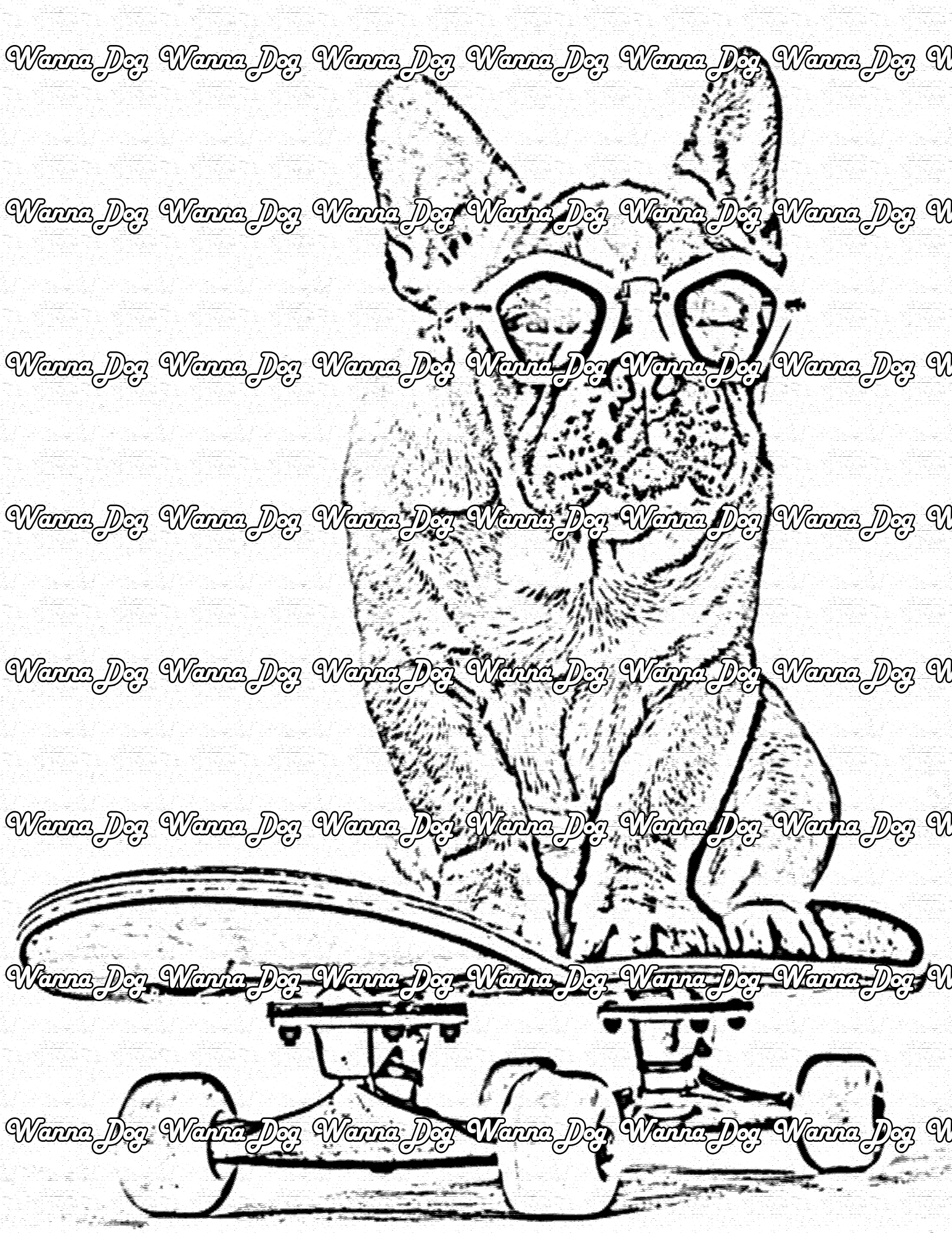 Bulldog Coloring Pages of a bulldog on a skateboard with sunglasses
