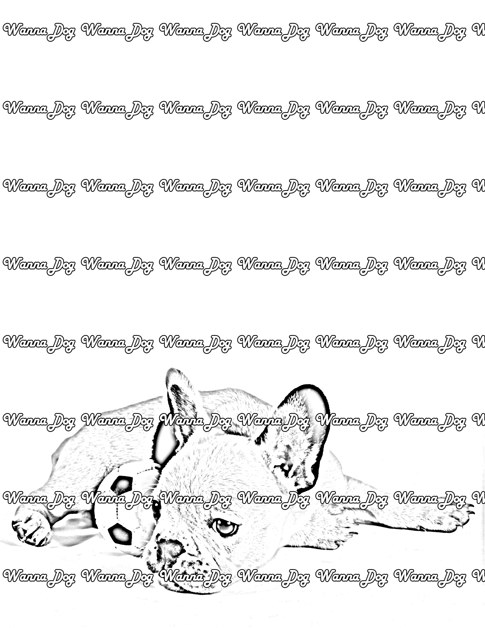 Bulldog Puppy Coloring Page of a Bulldog Puppy laying down with a soccer ball