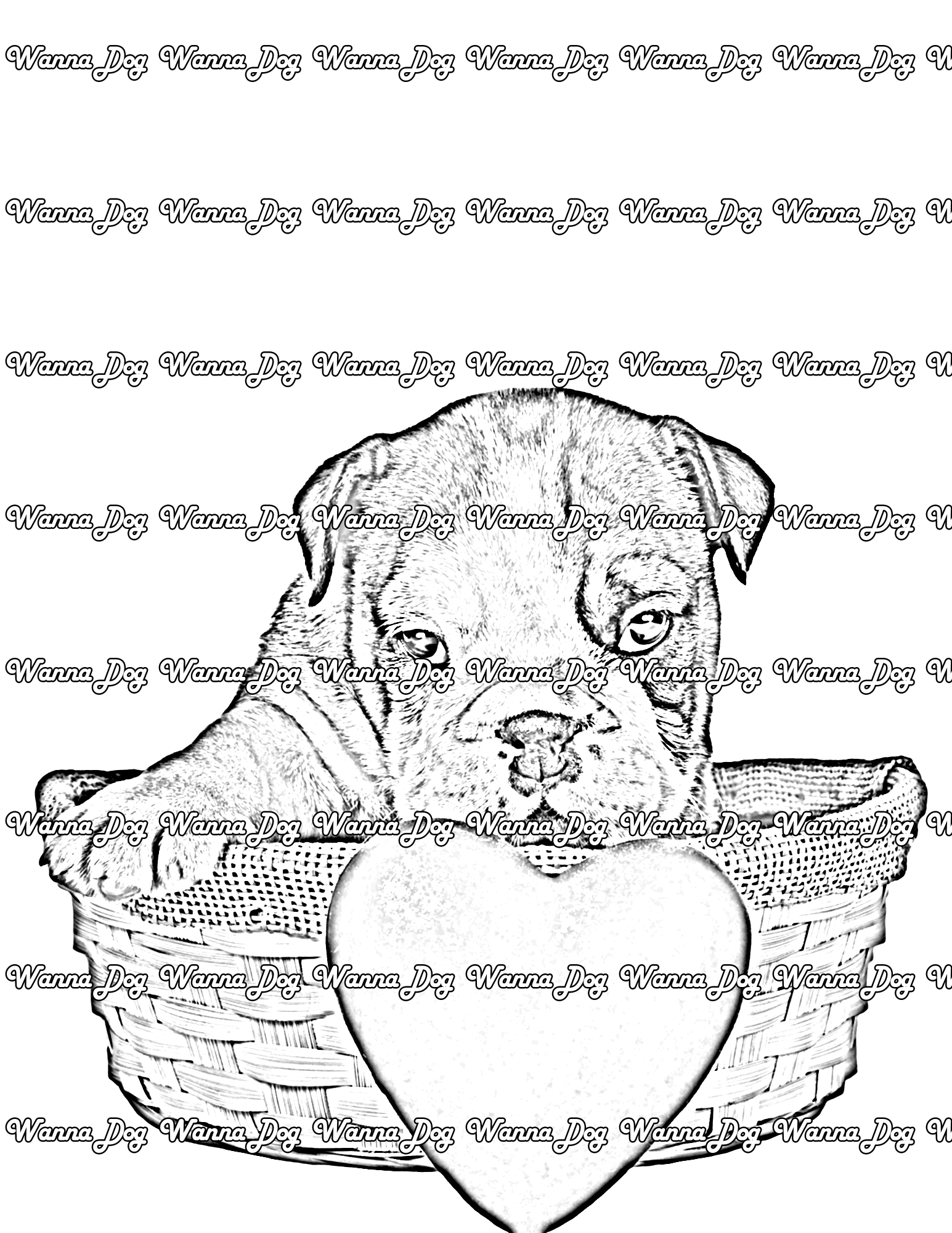 Bulldog Puppy Coloring Page of a Bulldog Puppy sitting in a basket and a heart plush