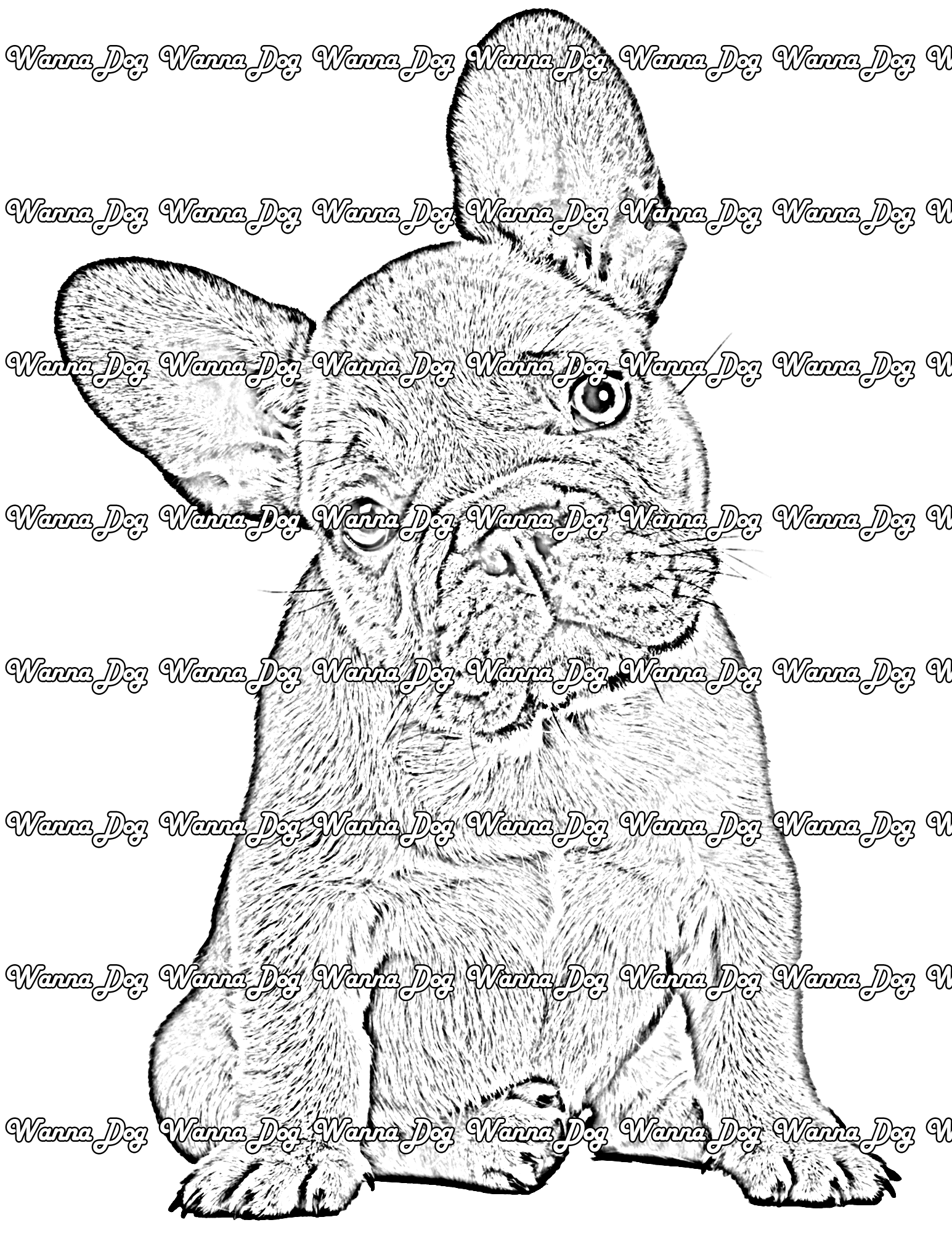Bulldog Puppy Coloring Page of a Bulldog Puppy posing for the camera