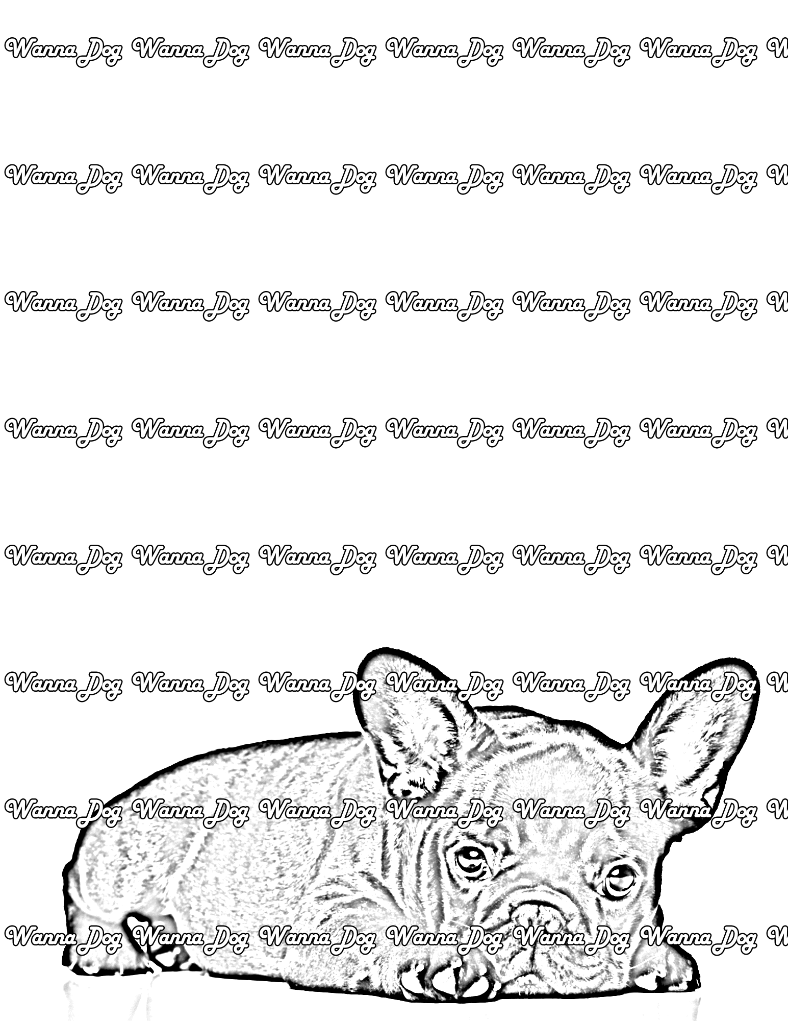 Bulldog Puppy Coloring Page of a Bulldog Puppy laying down