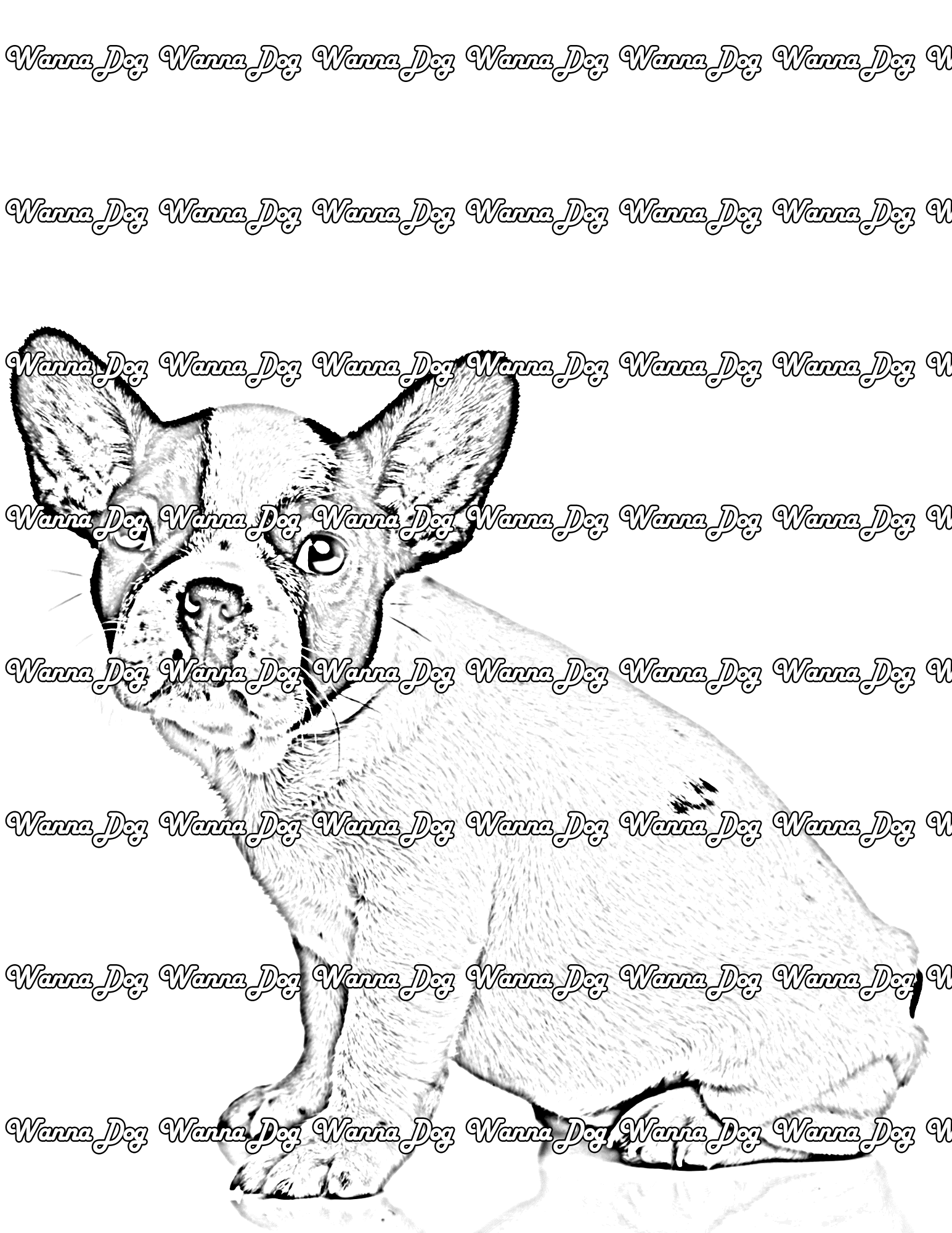 Bulldog Puppy Coloring Page of a Bulldog Puppy sitting and posing for the camera