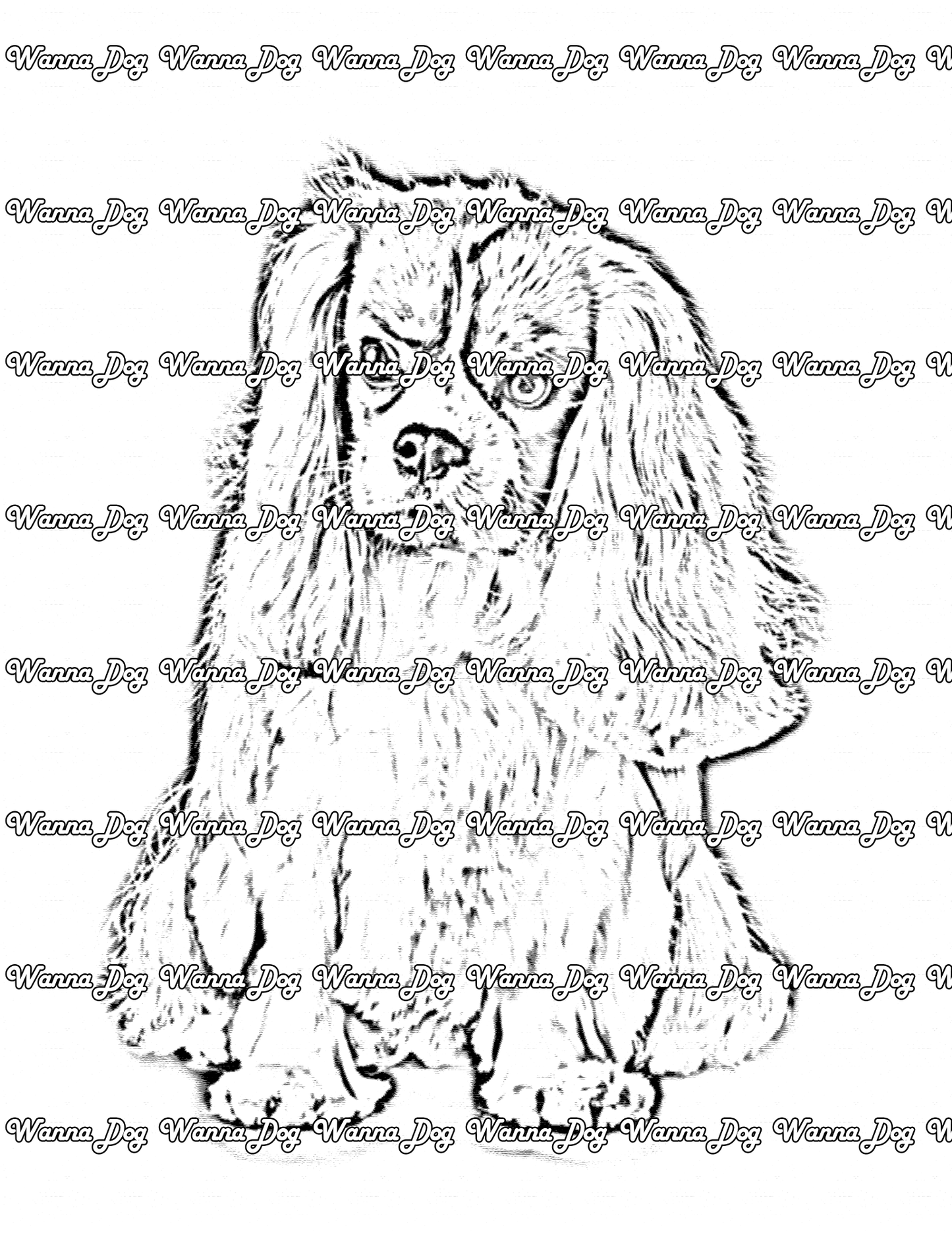 Cavalier King Charles Spaniel Coloring Page of a Cavalier King Charles Spaniel posing