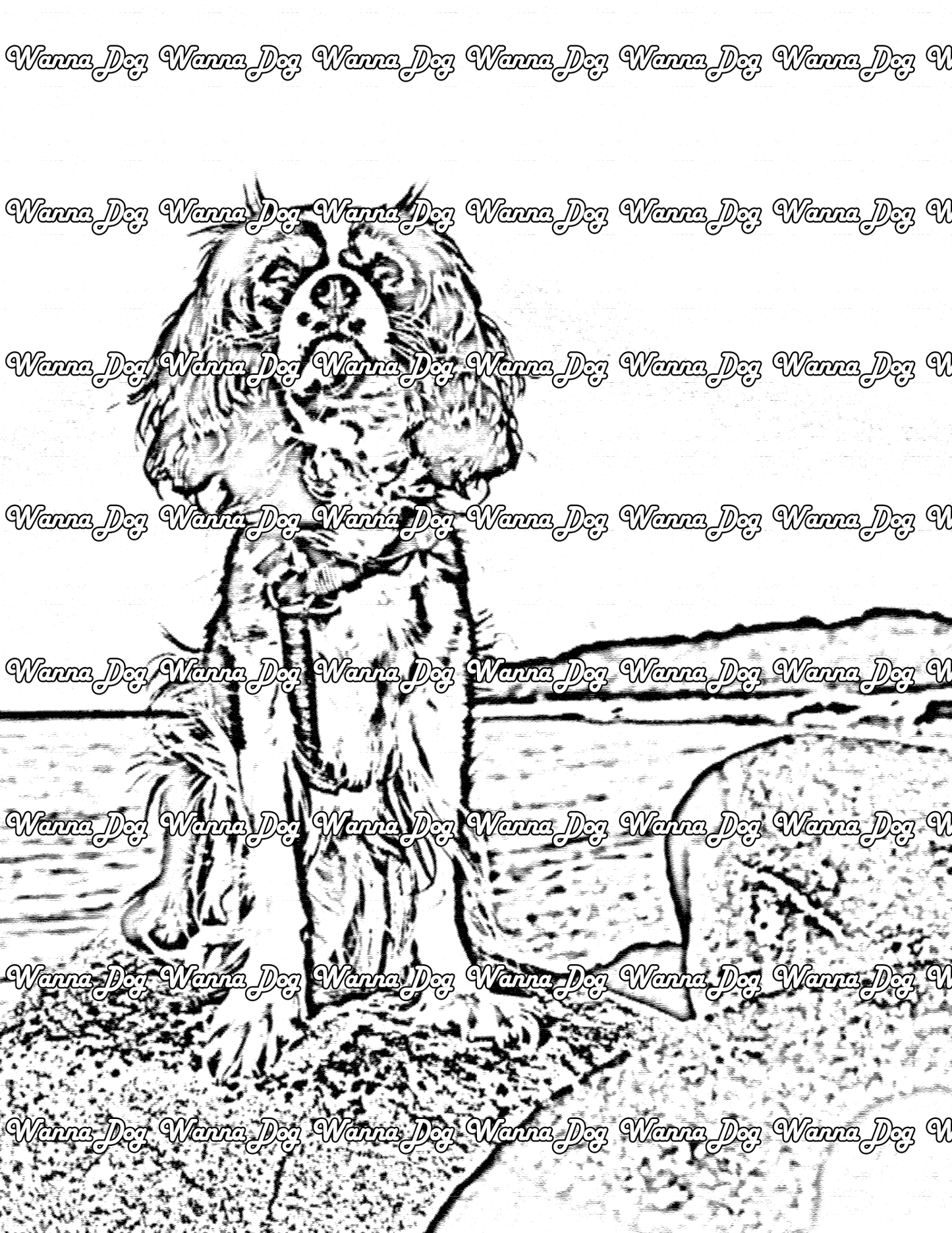 Cavalier King Charles Spaniel Coloring Page of a Cavalier King Charles Spaniel next to the water