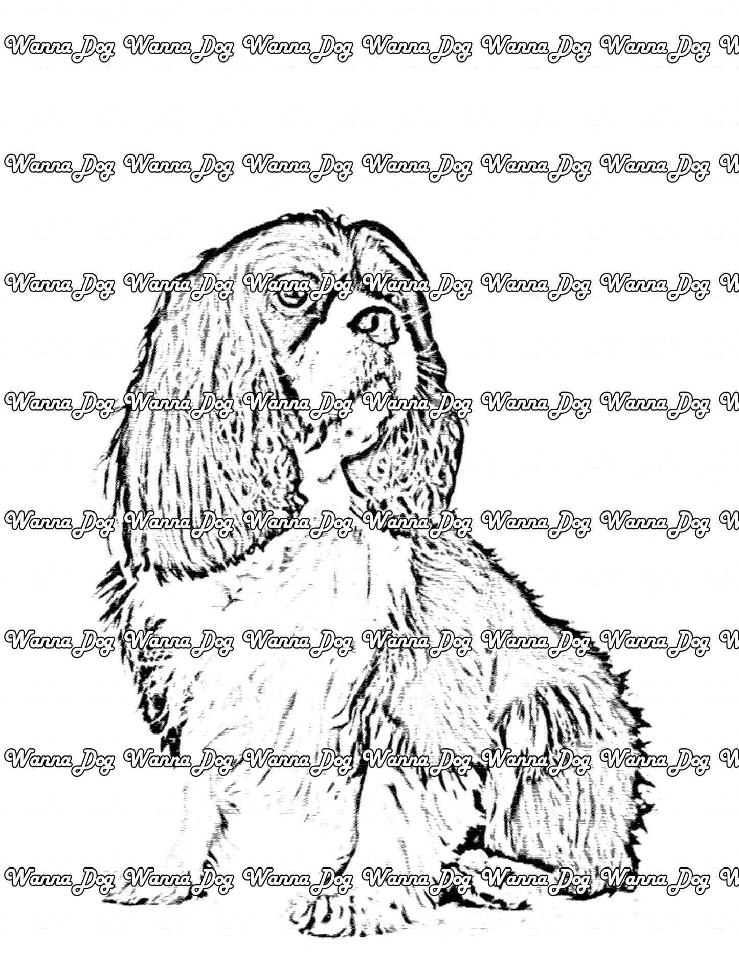 Cavalier King Charles Spaniel Coloring Page of a Cavalier King Charles Spaniel sitting and looking away from the camera