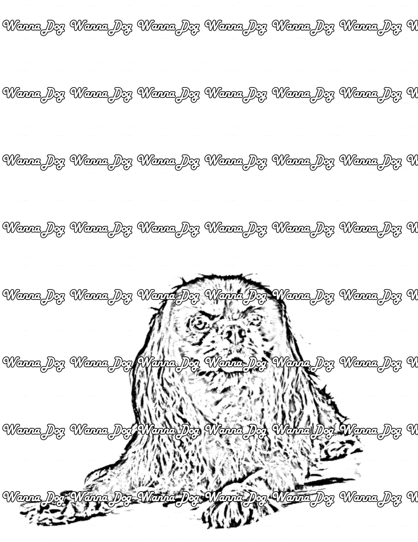 Cavalier King Charles Spaniel Coloring Page of a Cavalier King Charles Spaniel sitting for the camera