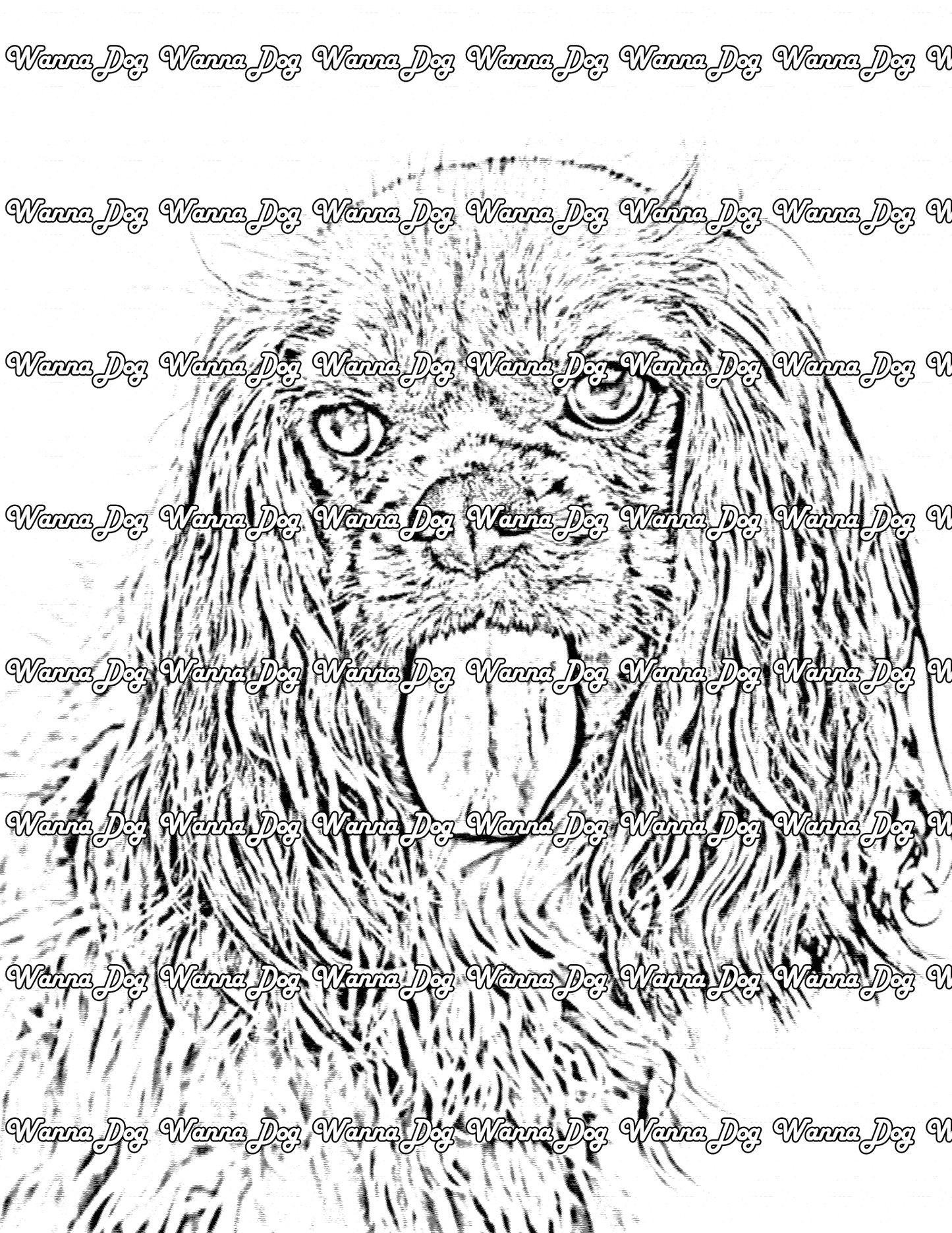 Cavalier King Charles Spaniel Coloring Page of a Cavalier King Charles Spaniel close up with their tongue out