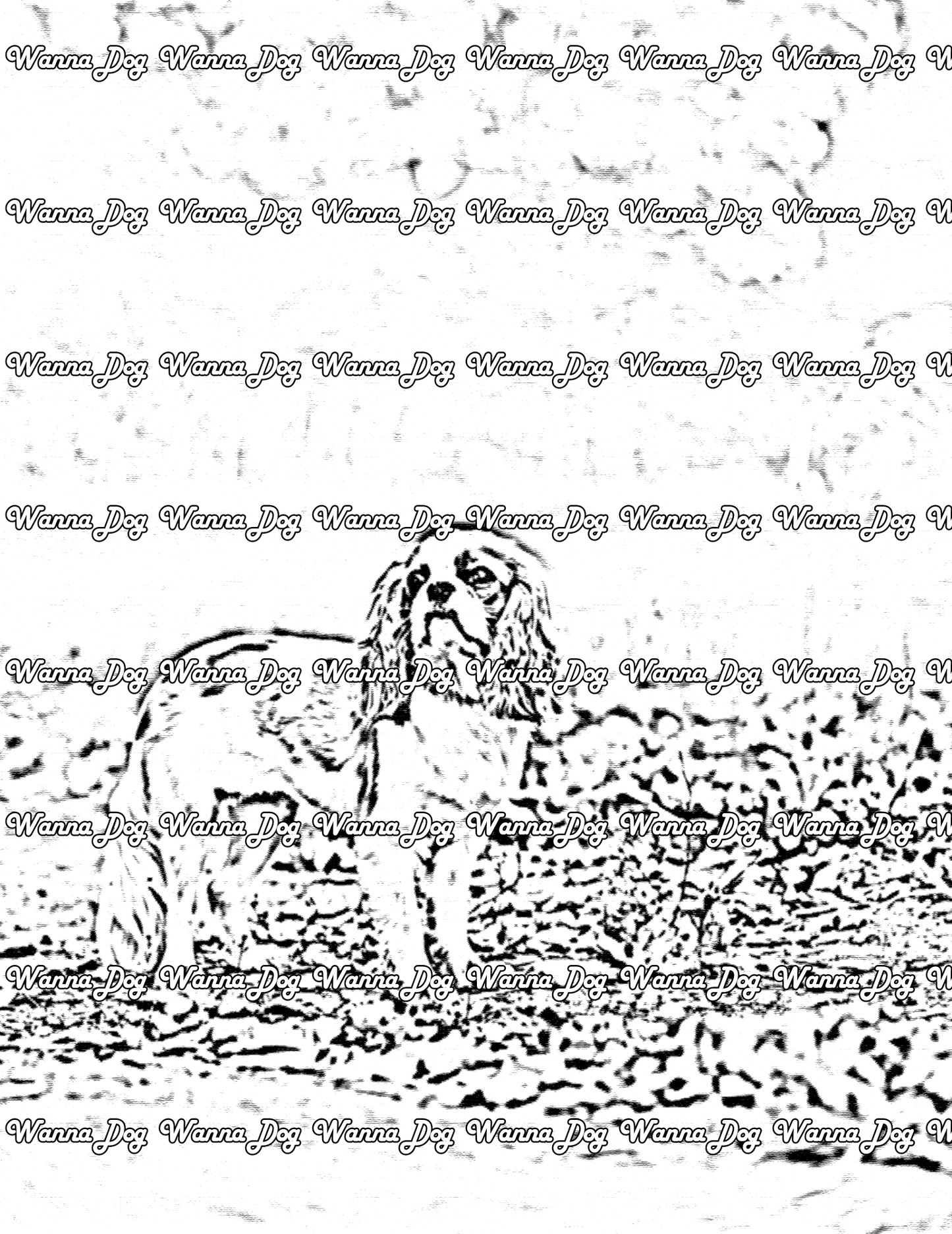 Cavalier King Charles Spaniel Coloring Page of a Cavalier King Charles Spaniel standing outside