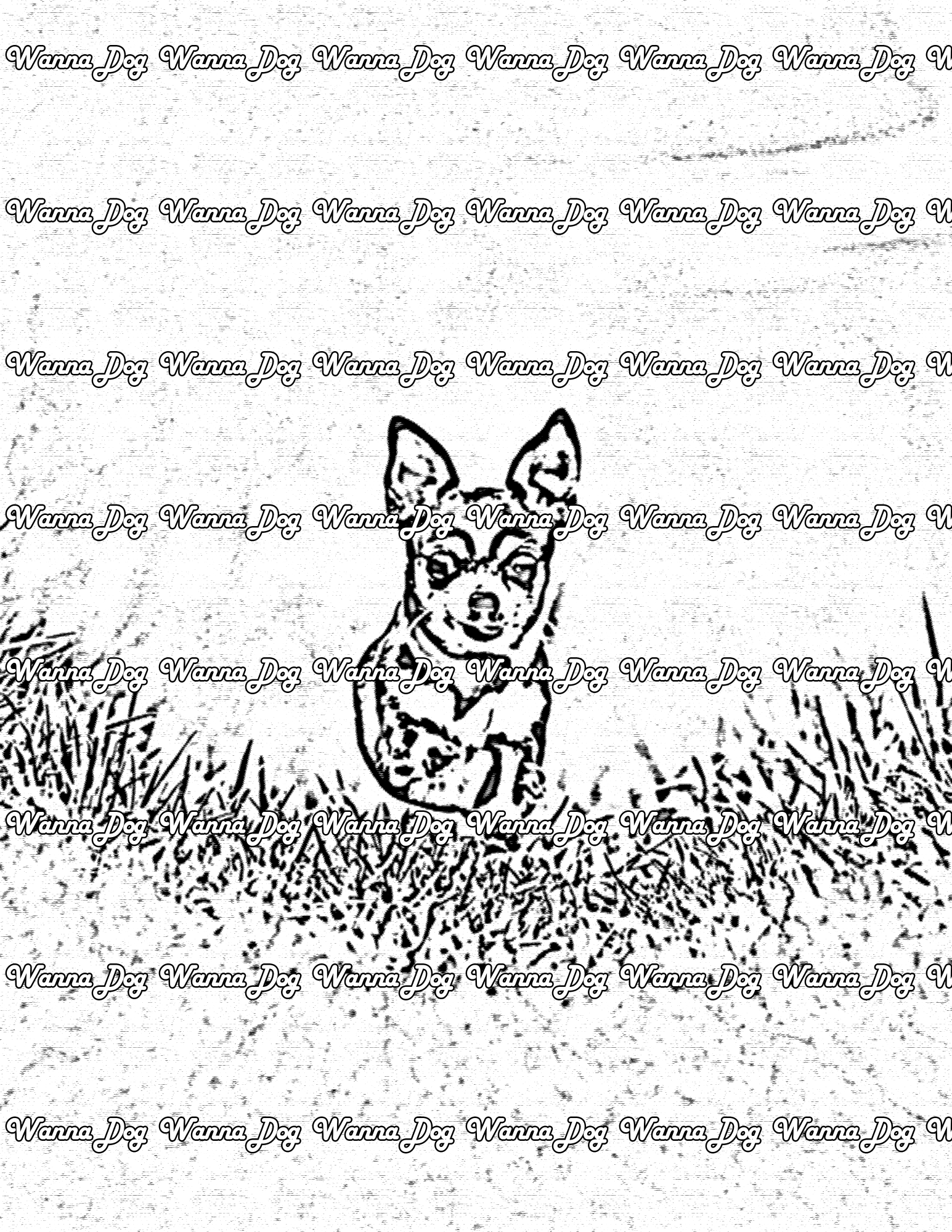Chihuahua Coloring Page of a Chihuahua running in grass