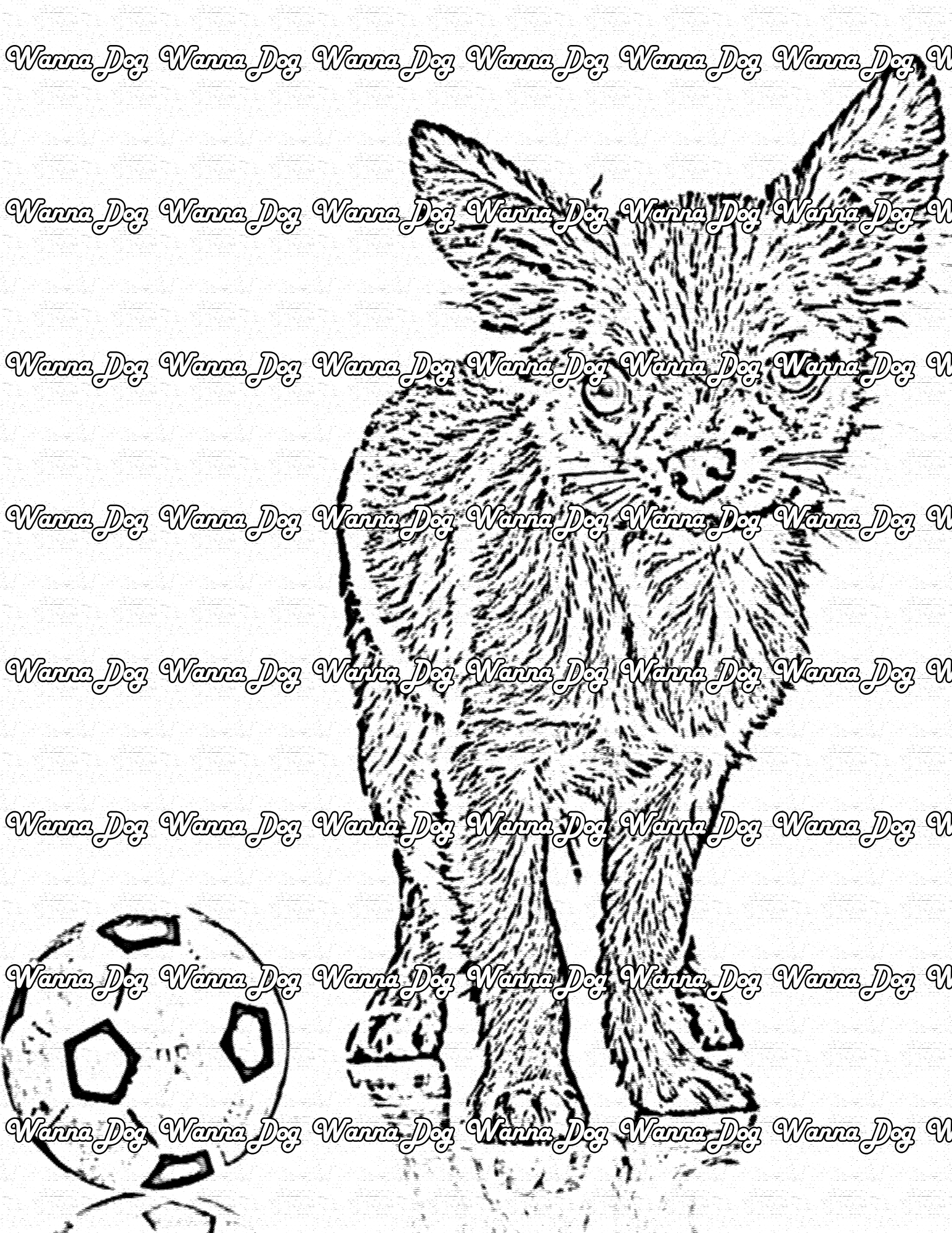 Chihuahua Coloring Page of Chihuahua with a soccer ball