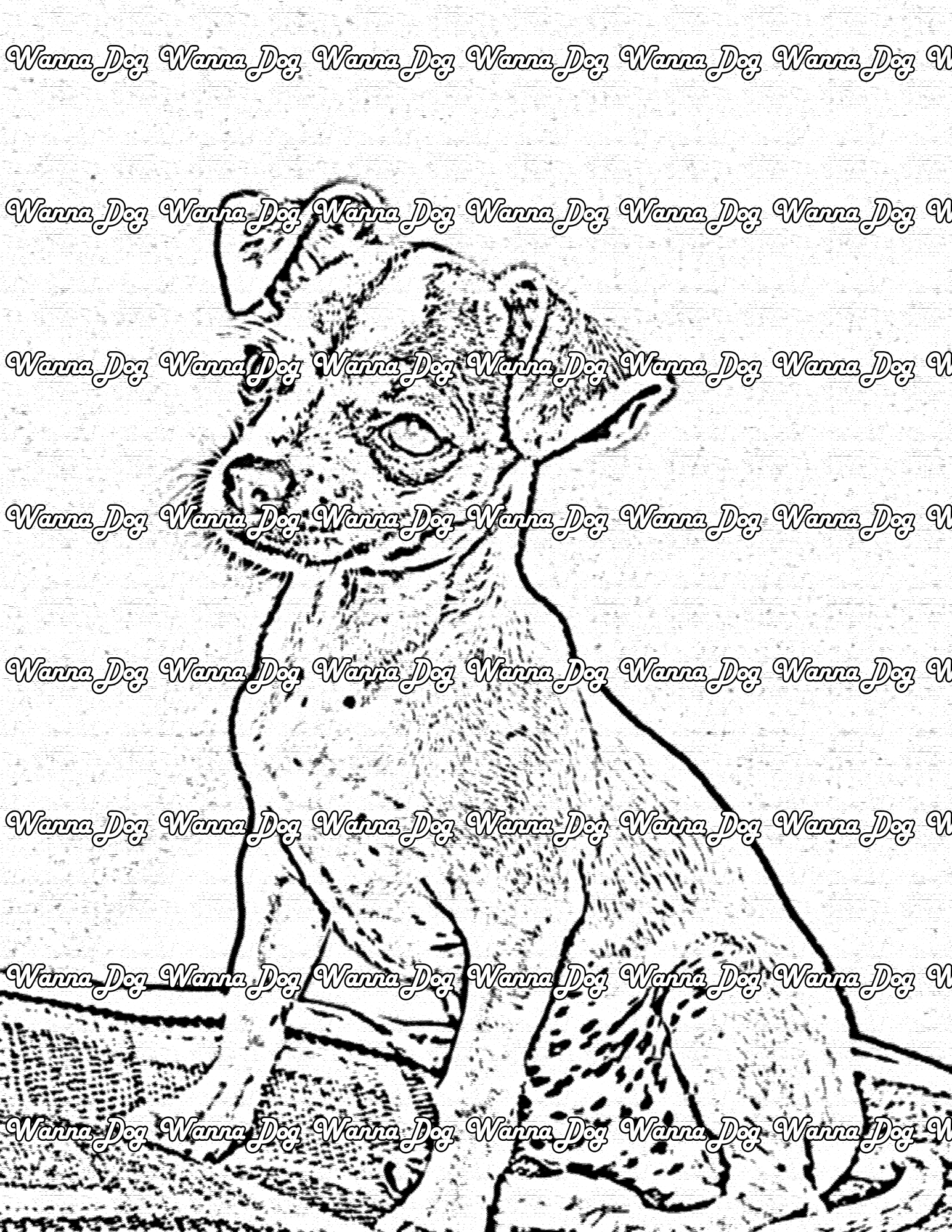 Chihuahua Coloring Page of a Chihuahua posing