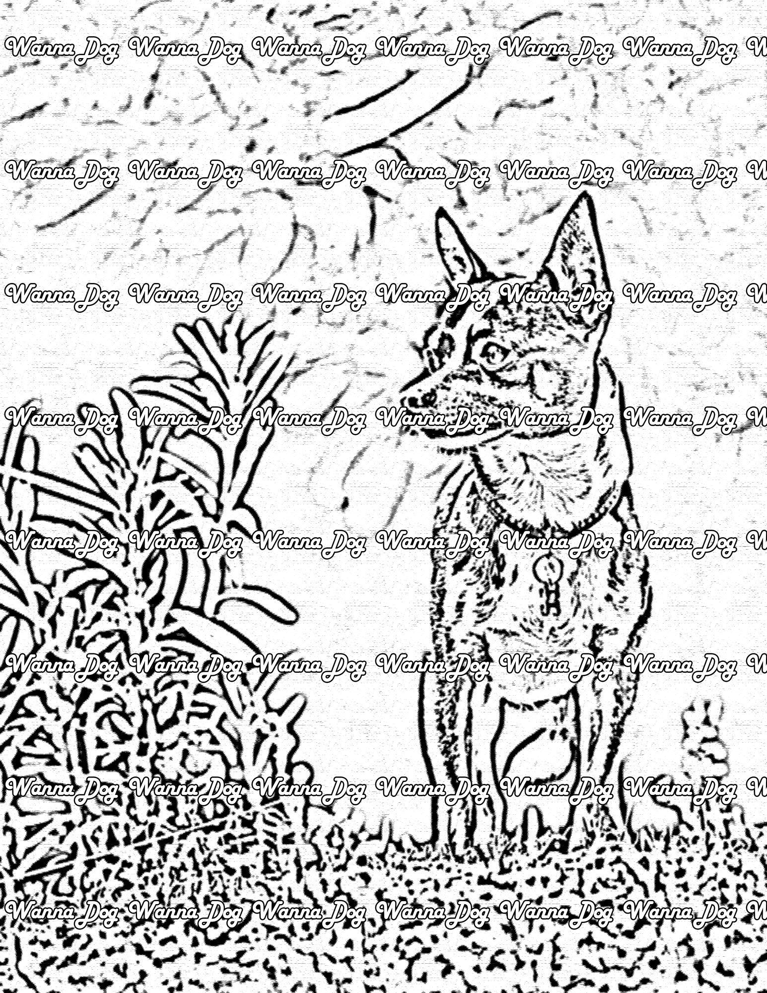 Chihuahua Coloring Page of a Chihuahua on a hiking and looking at the view